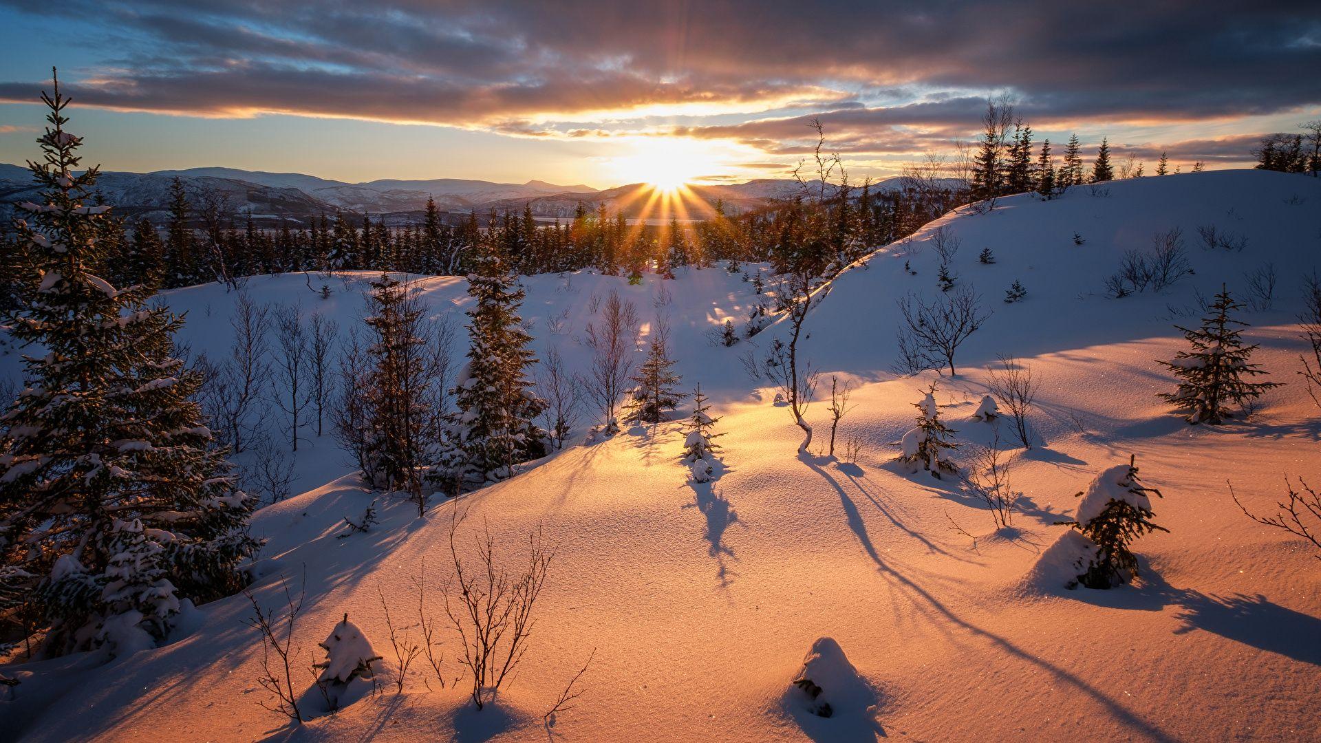 1920x1080 Desktop Wallpaper Rays of light Nature Spruce Winter Snow