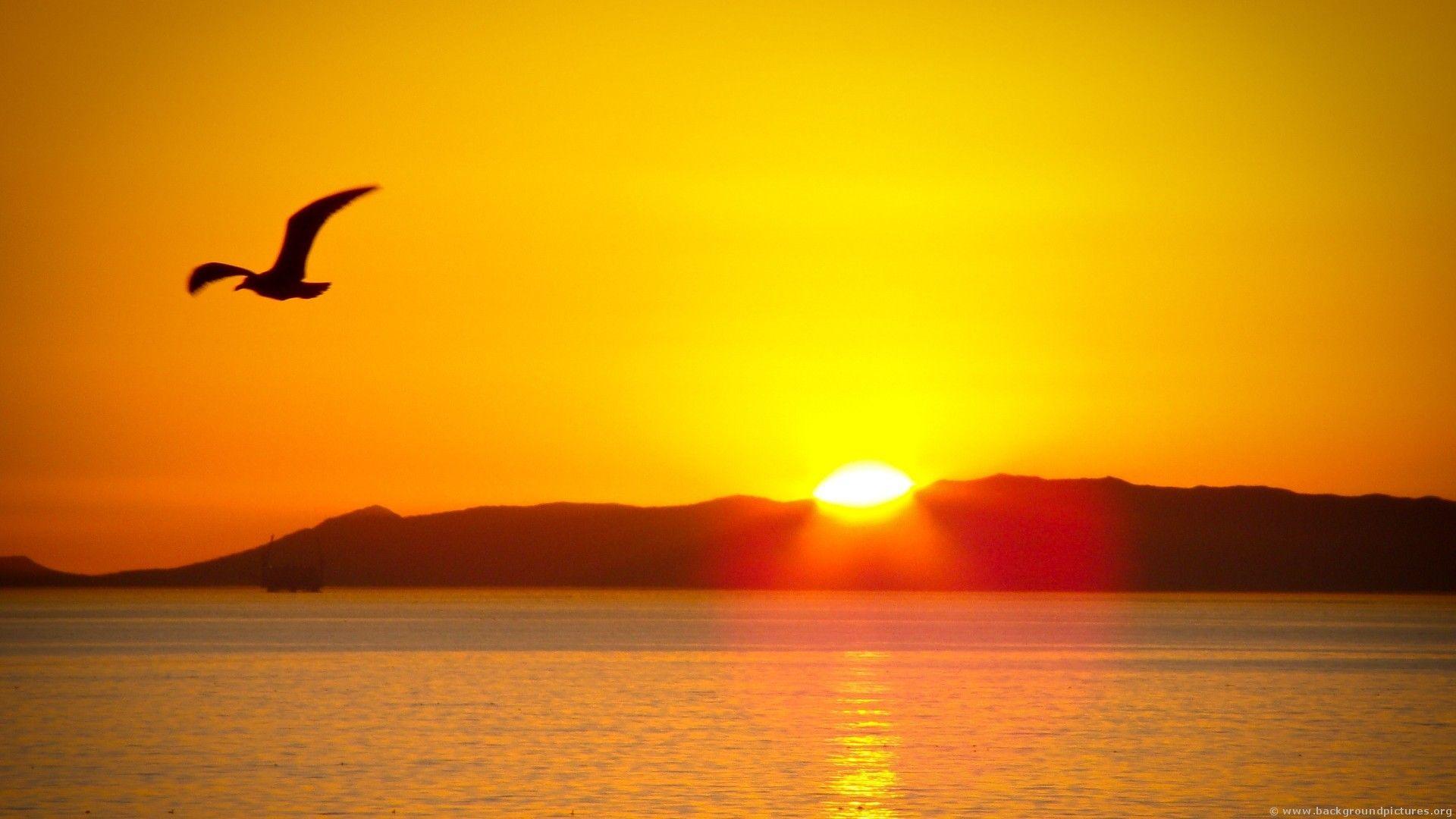 1920x1080 Sun Rise Wallpaper