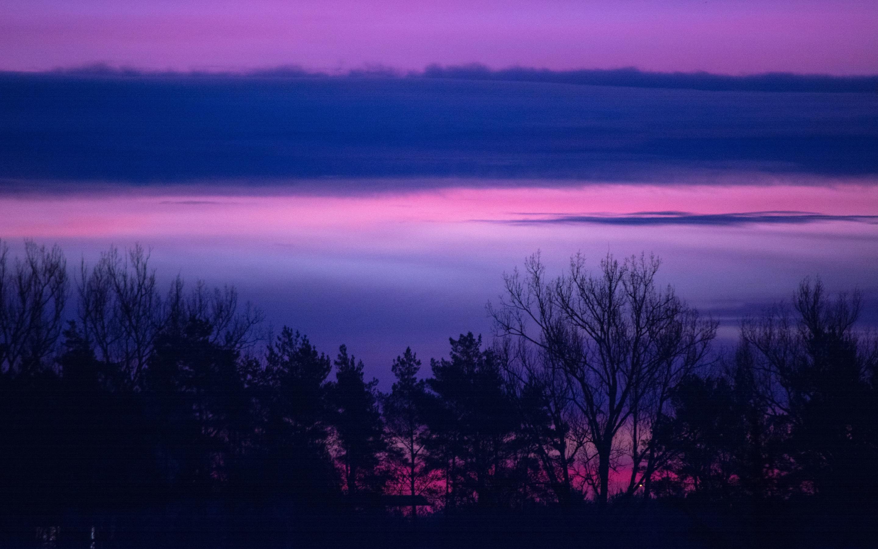 2880x1800 Clouds Forest Landscape Lilac Purple Serene