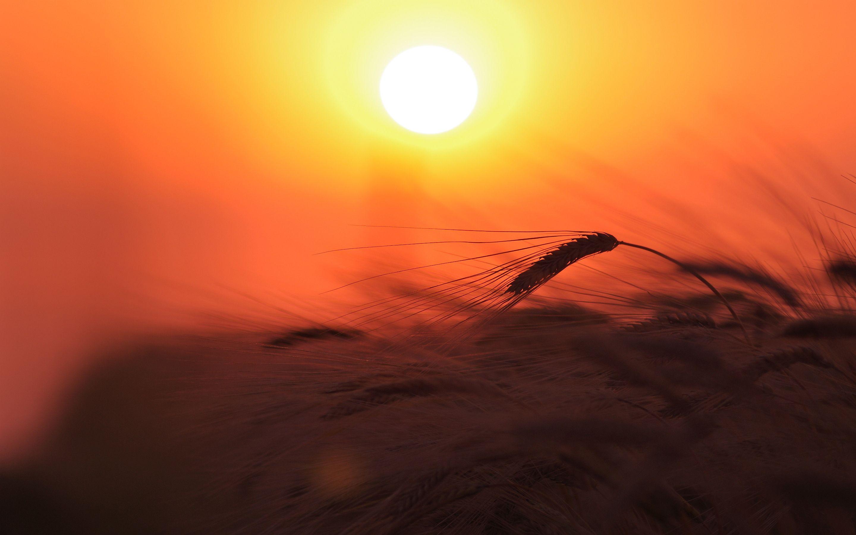 2880x1800 Beautiful HD Sunrise Wallpaper
