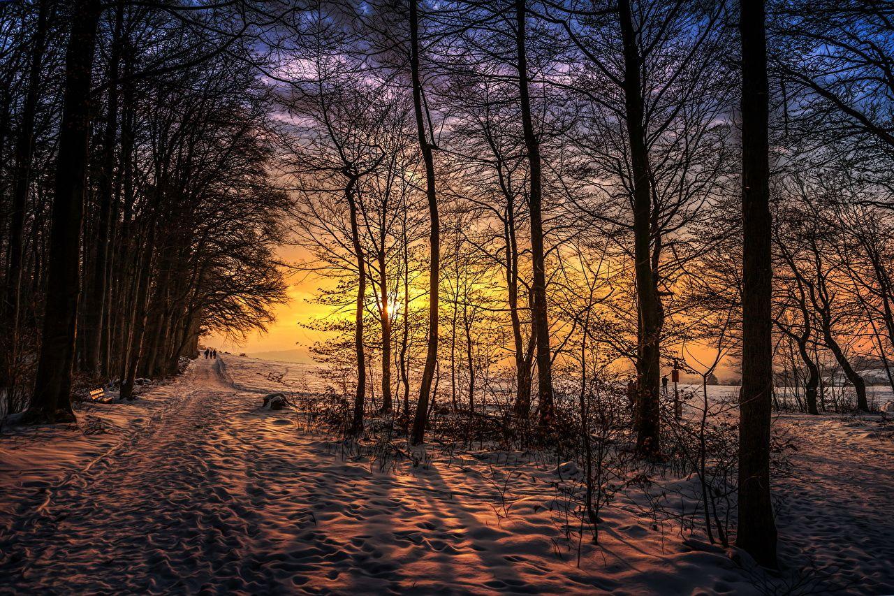 1280x853 Desktop Wallpaper Trail Nature Winter Snow Sunrises and sunsets