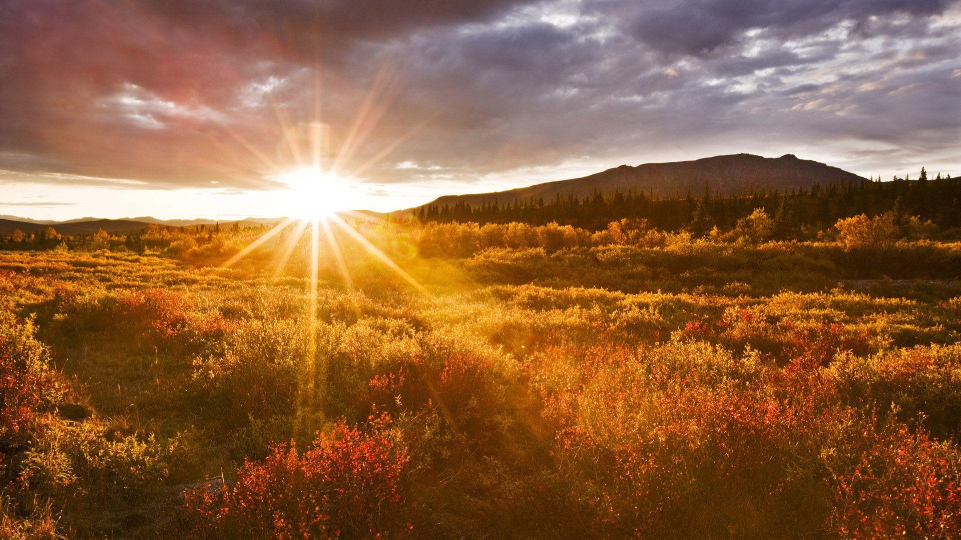 1920x1080 Tropical sunrise wallpaper desktop image