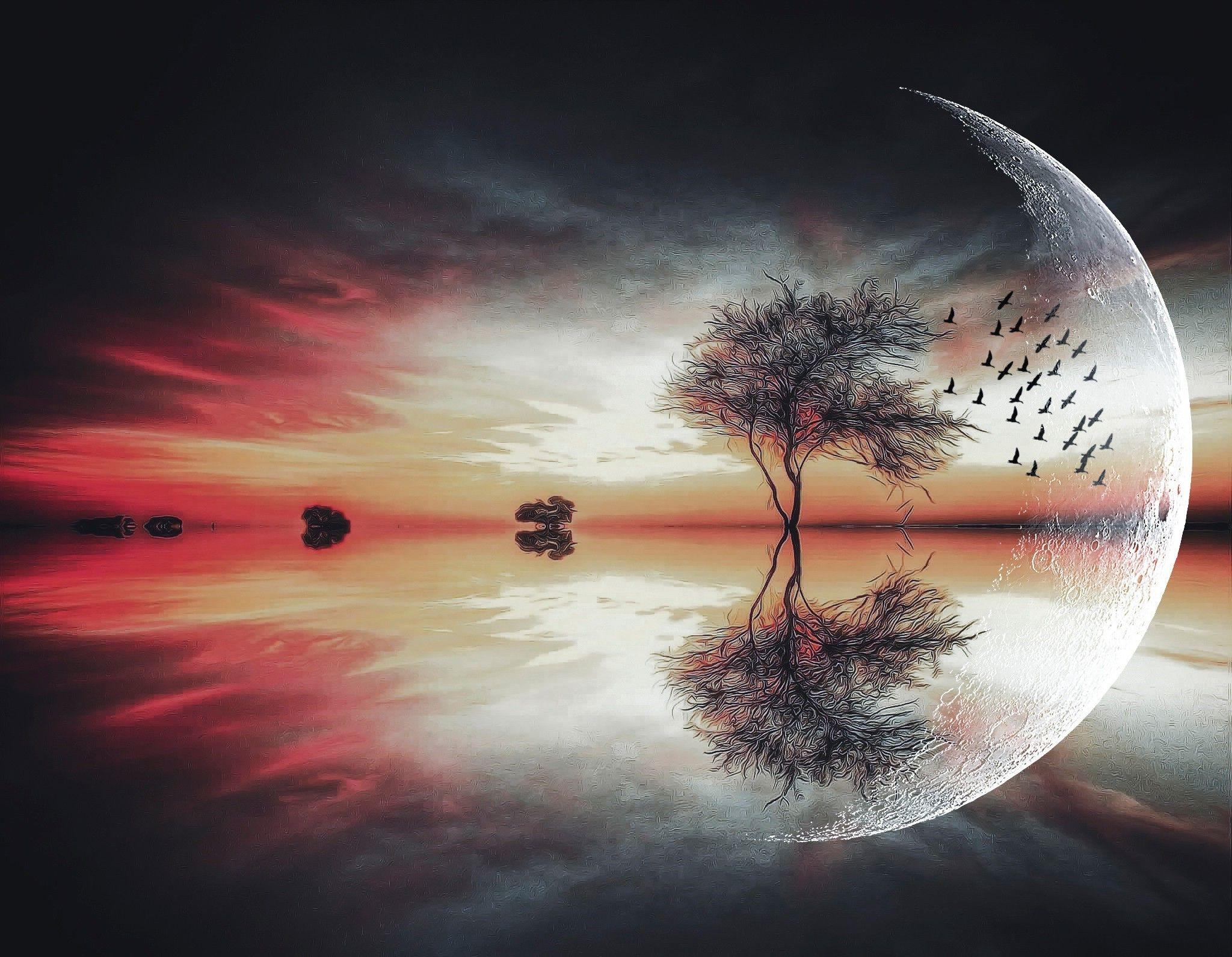 2048x1591 moon fantasy art trees birds landscape lake