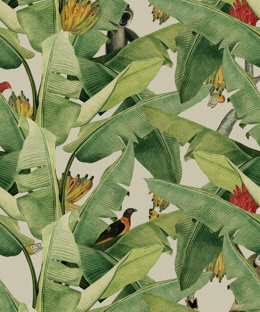 1100x1318 Jungle Fever, Banana Leaf Wallpaper, Tropical Design