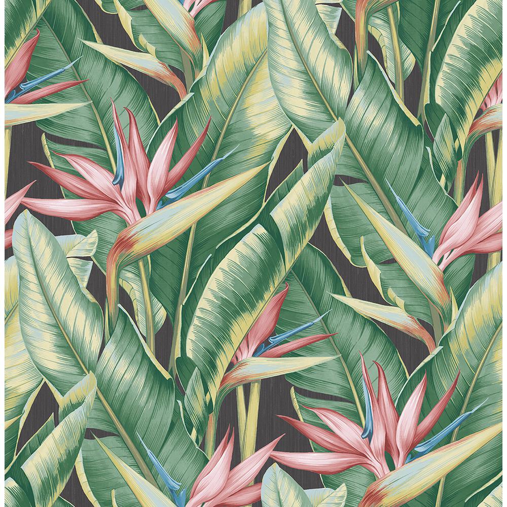 1000x1000 Kenneth James Arcadia Pink Banana Leaf Wallpaper Sample