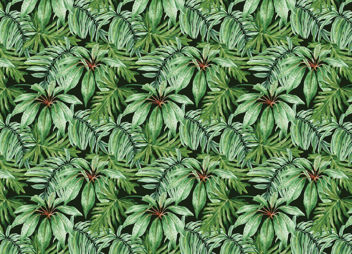 1200x864 Tropical Banana Leaf Wallpaper