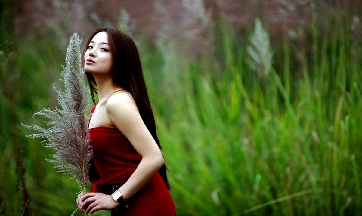 1203x720 Chinese Nature New Year Free HD Wallpaper Download. Best image