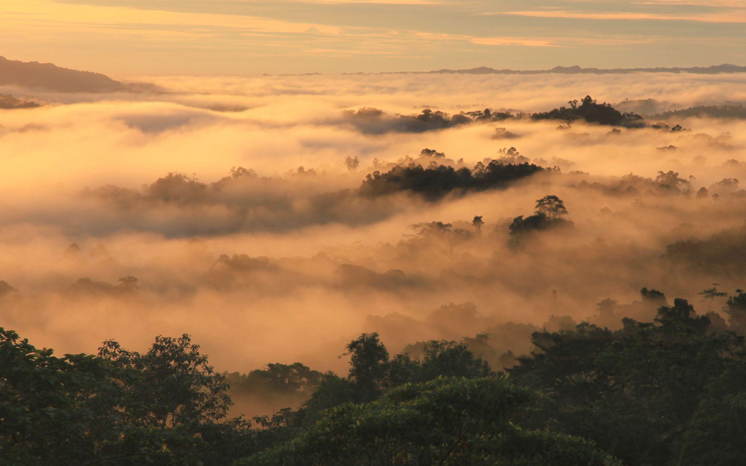2400x1500 Papua New Guinea Wallpaper