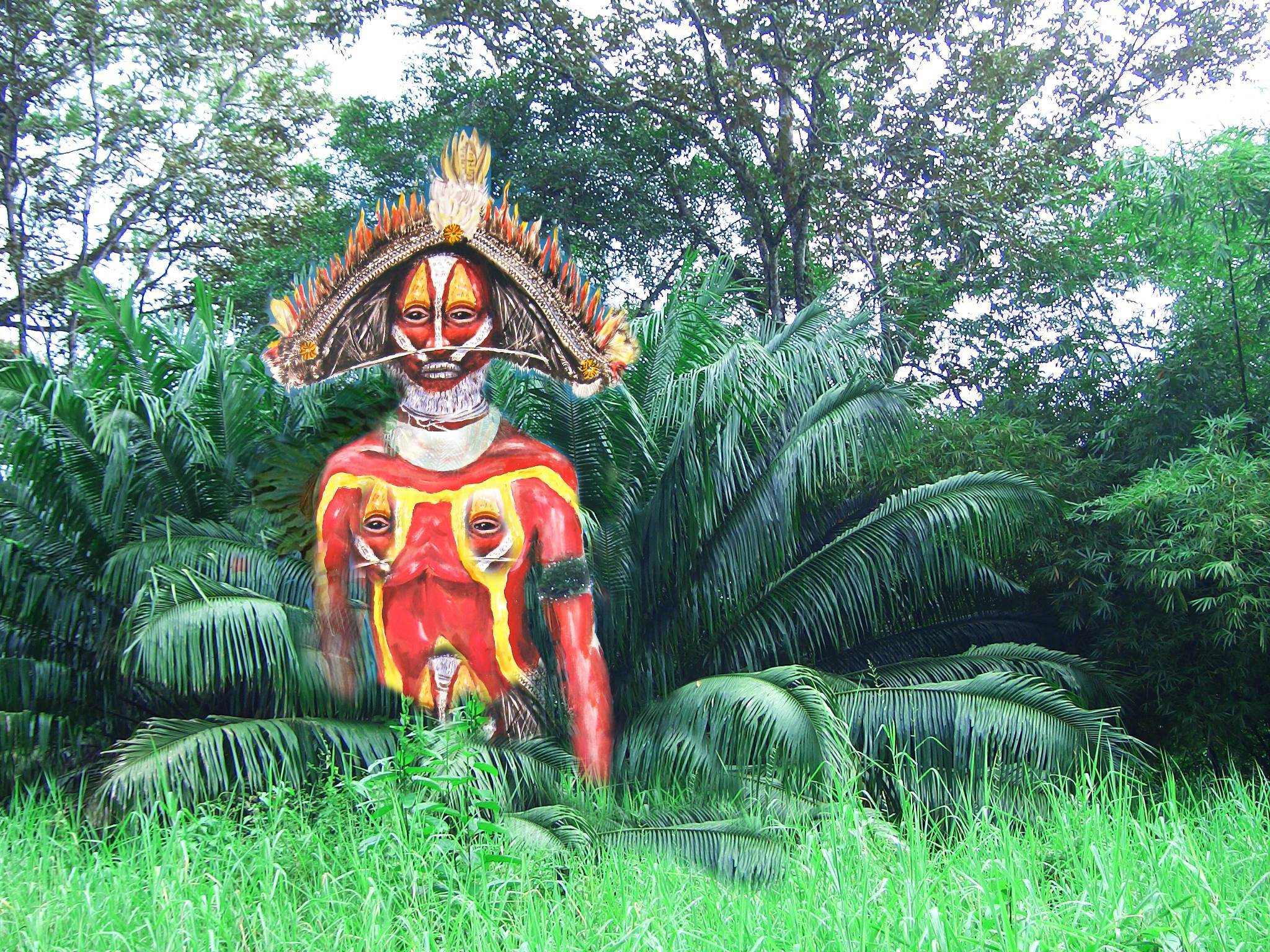 2048x1536 Papua New Guinea Wallpaper Image Photo Picture Background