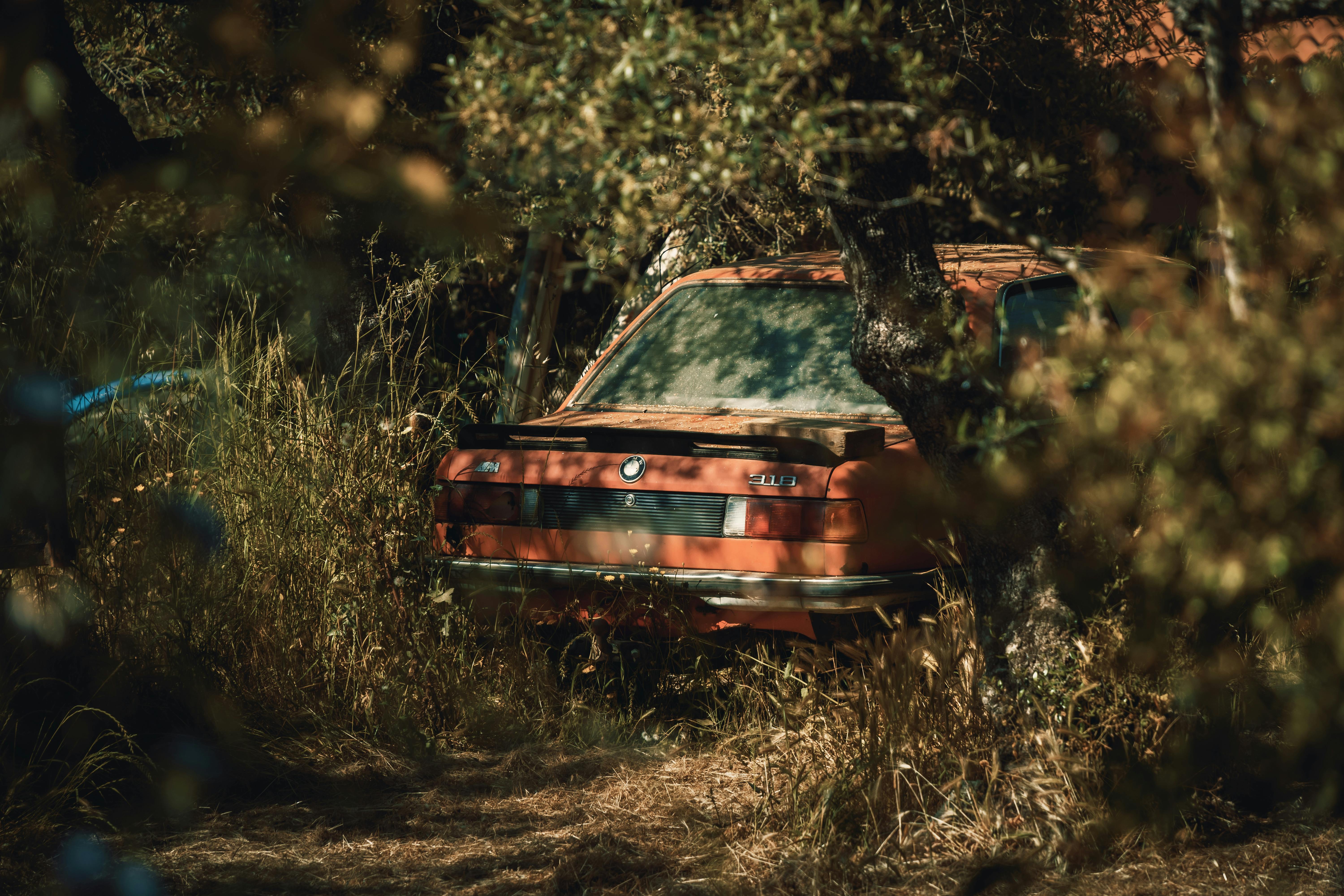 6000x4000 Abandoned Vintage Car · Free