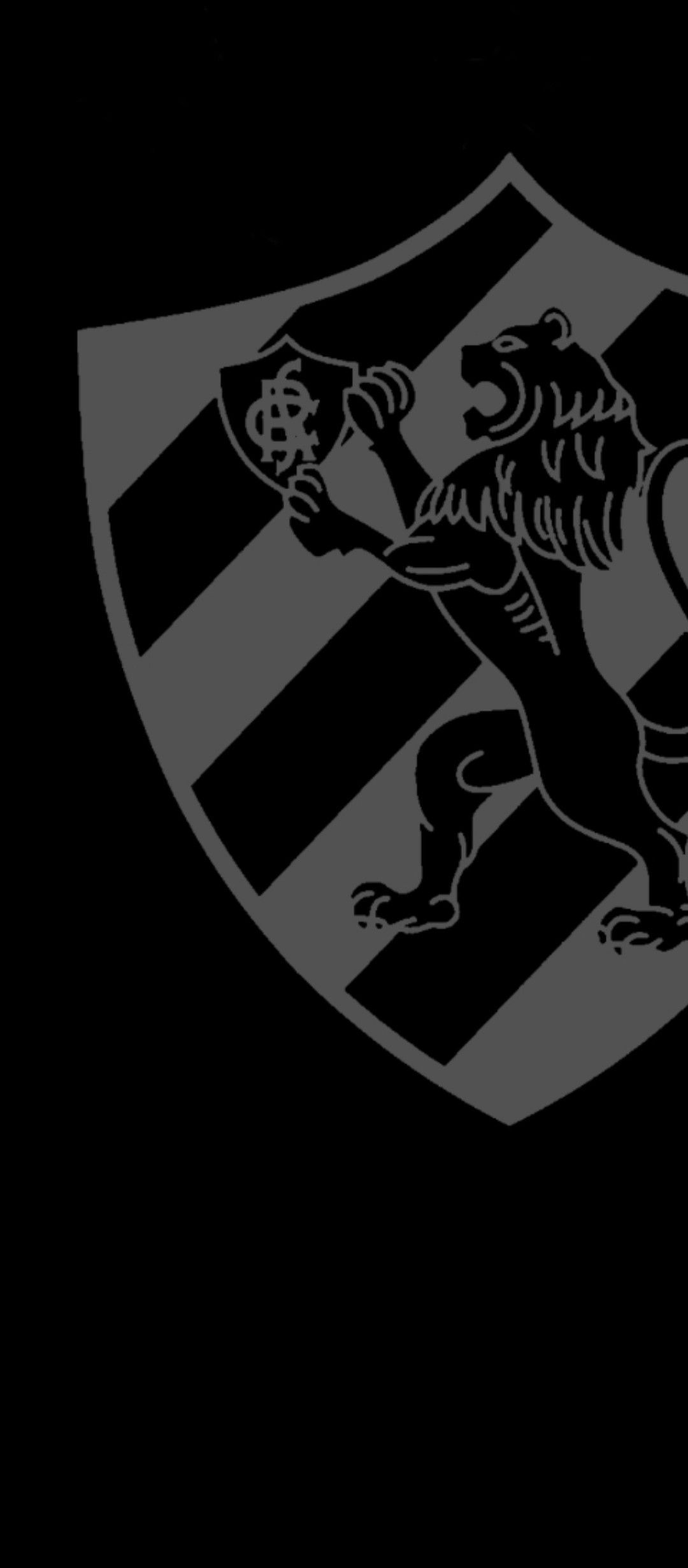 1080x2460 Sport Clube Do Recife Wallpaper