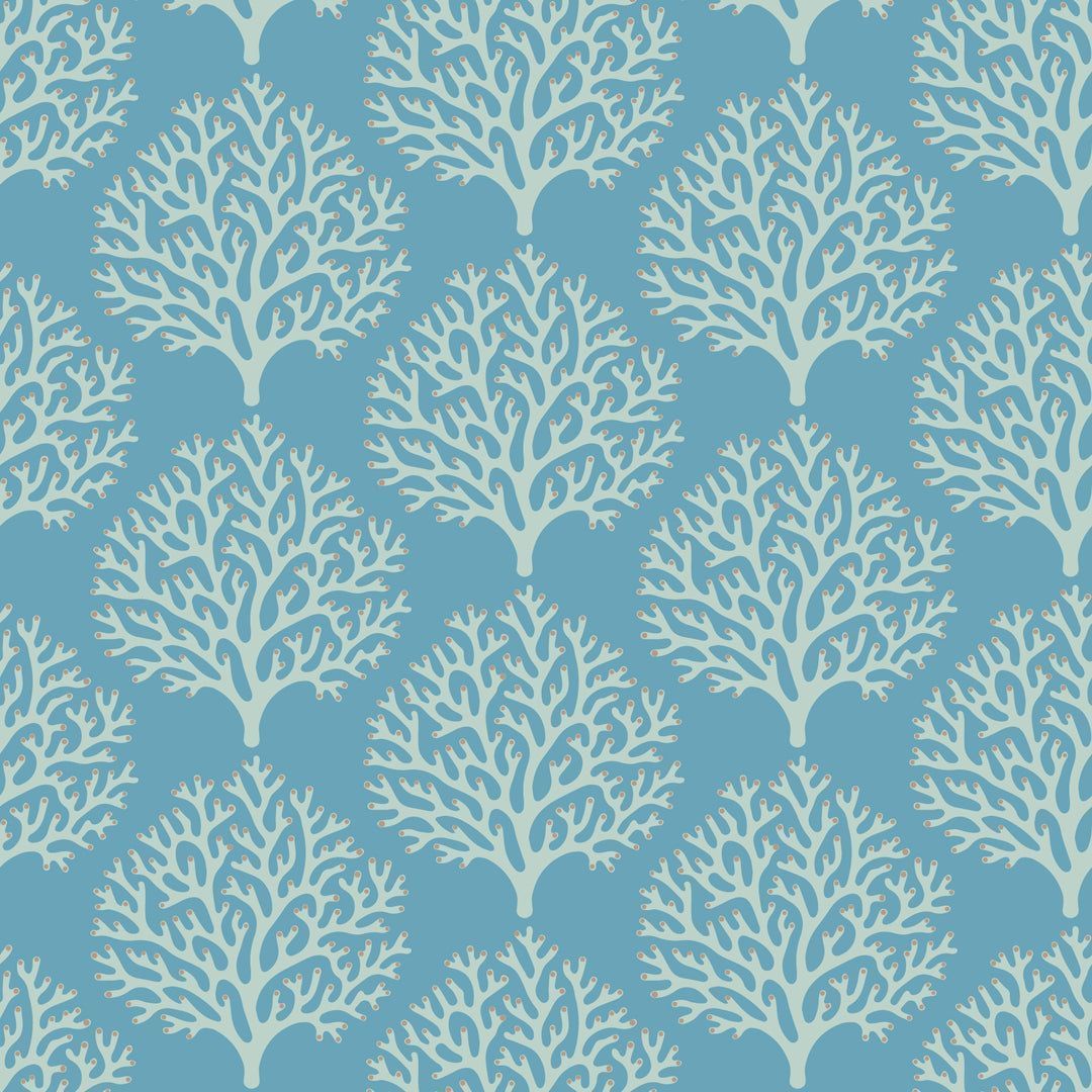 1080x1080 Beach Coral Sanibel Blue Wallpaper