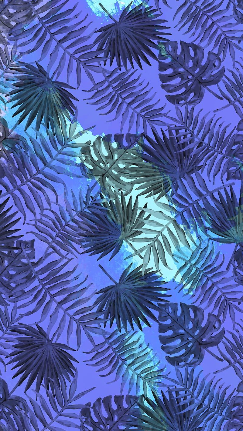 800x1422 tropical, HD phone wallpaper