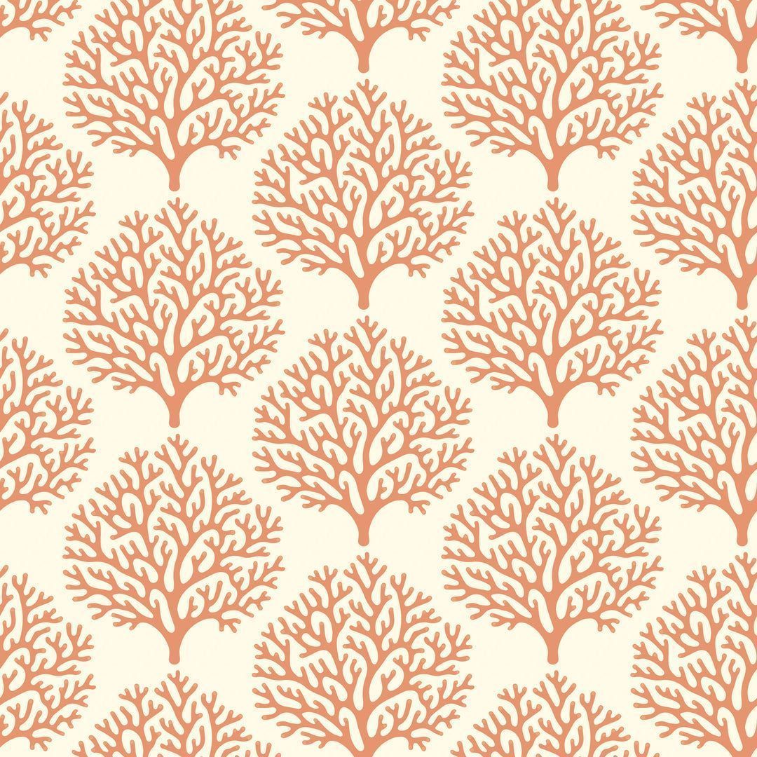 1080x1080 Beach Coral Wallpaper