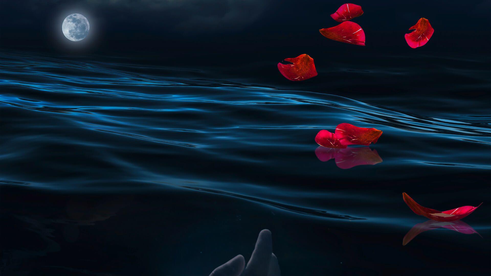 1920x1080 Dream Theater