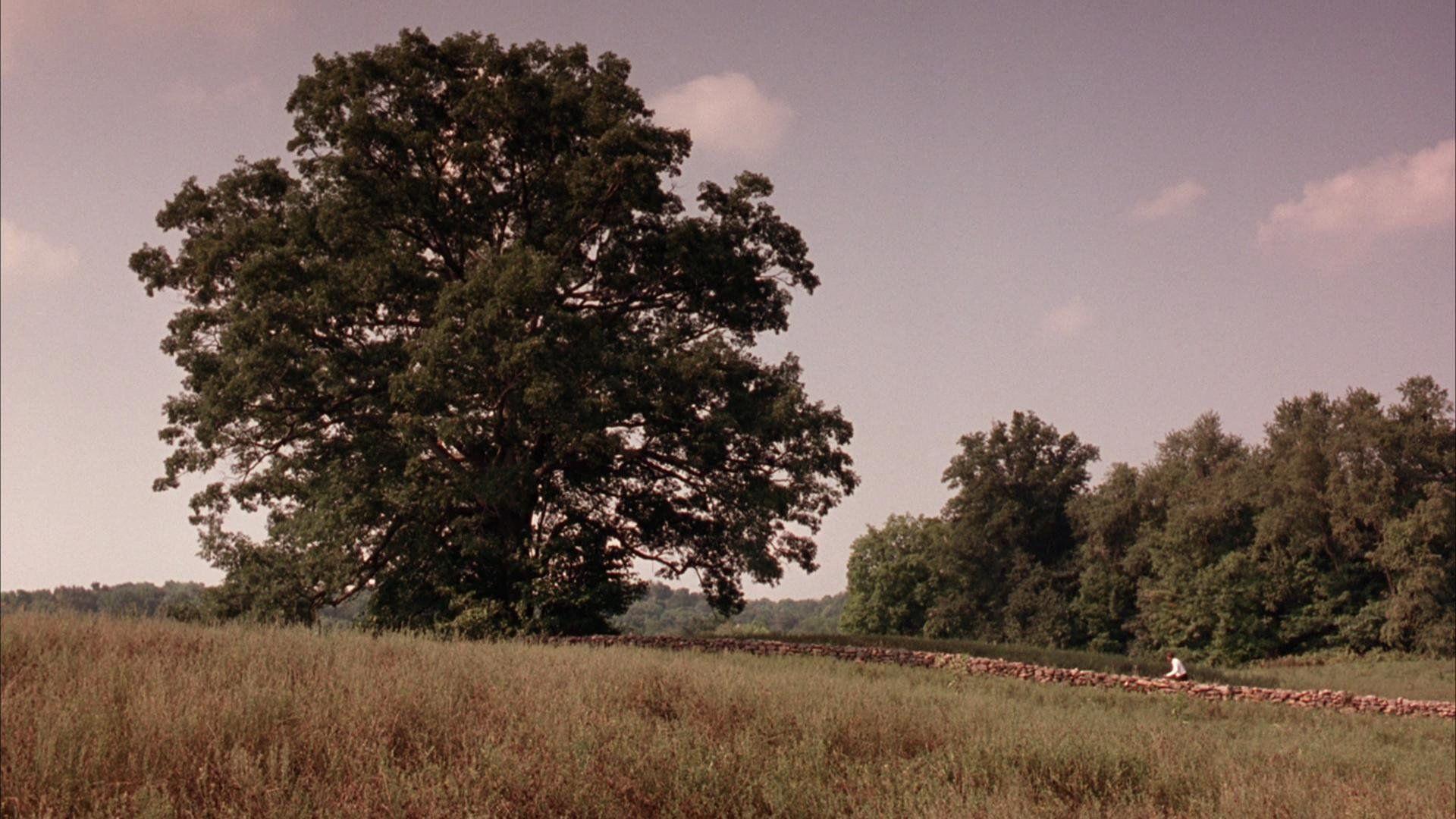 1920x1080 Shawshank Redemption