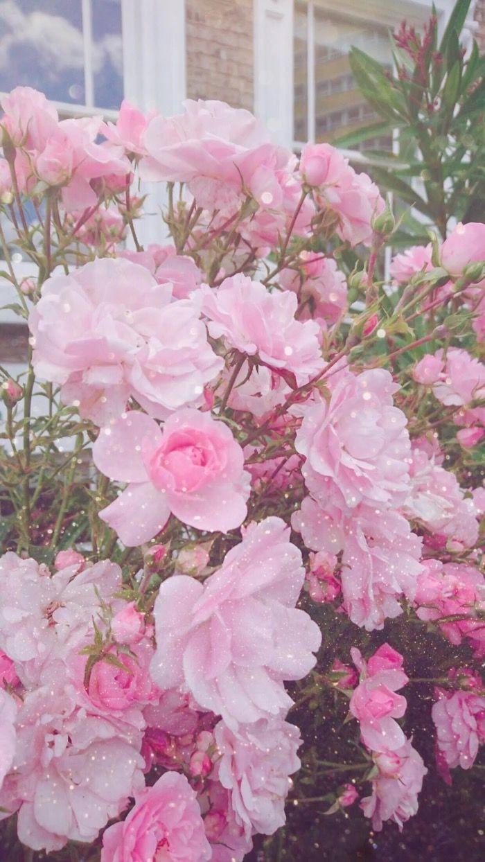 700x1244 reasume