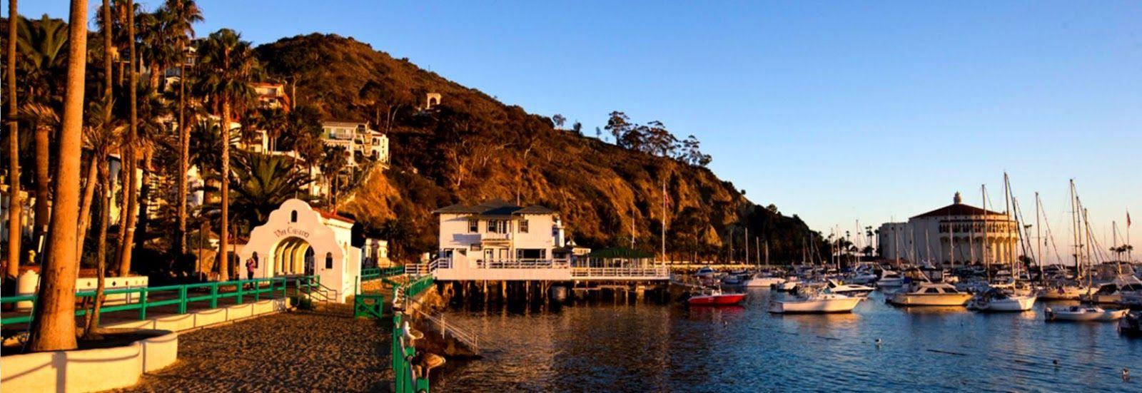 Catalina Island Wallpapers Top Free Catalina Island