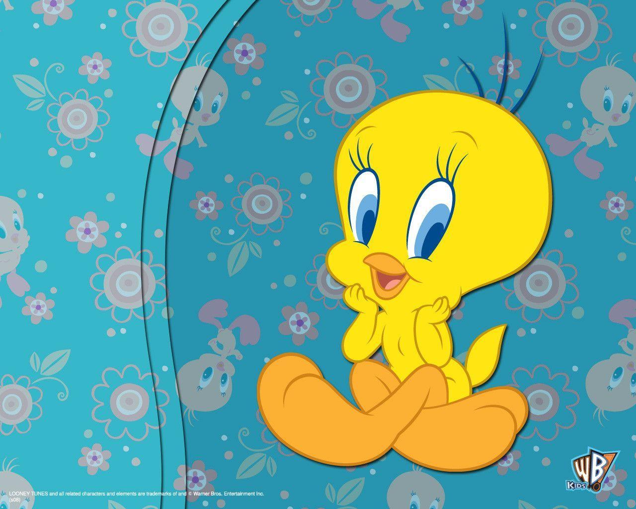 Tweety Bird Wallpapers - Top Free Tweety Bird Backgrounds - WallpaperAccess