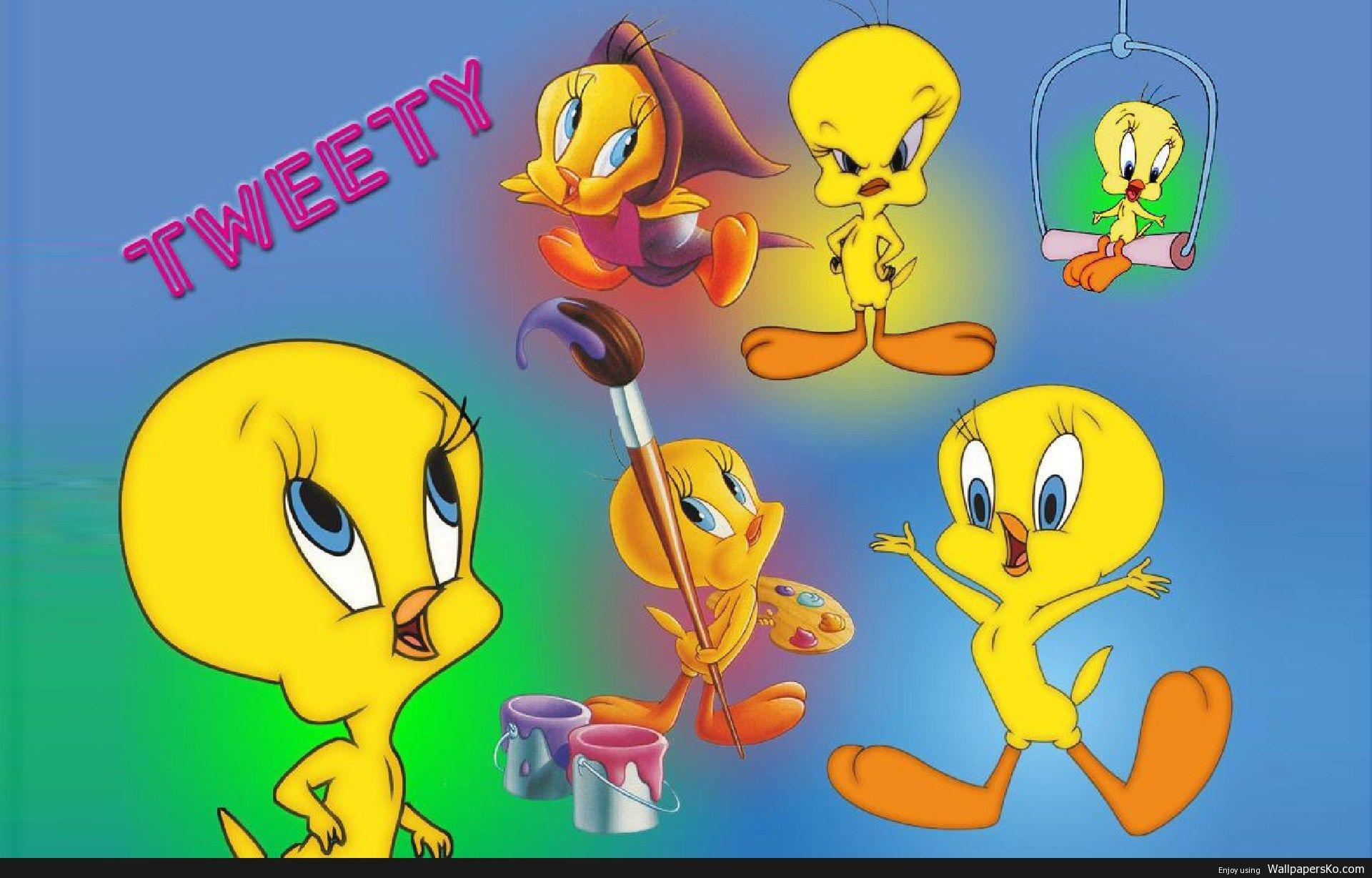 1920x1228 Pilgrim Tweety Bird Wallpaper HD Wallpaper Download Wall