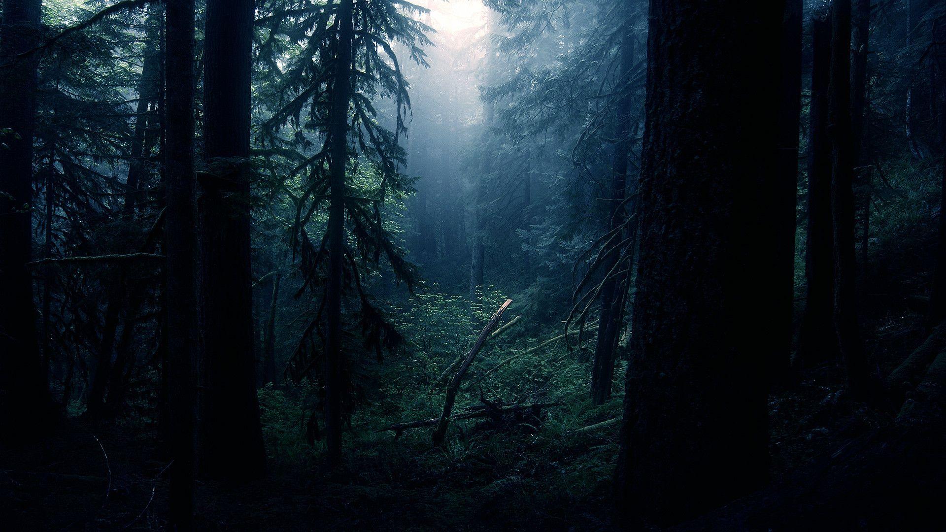 Pacific Northwest Desktop Wallpapers Top Free Pacific Northwest megg-alexander-siri-play-party-rock-anthem-instagram