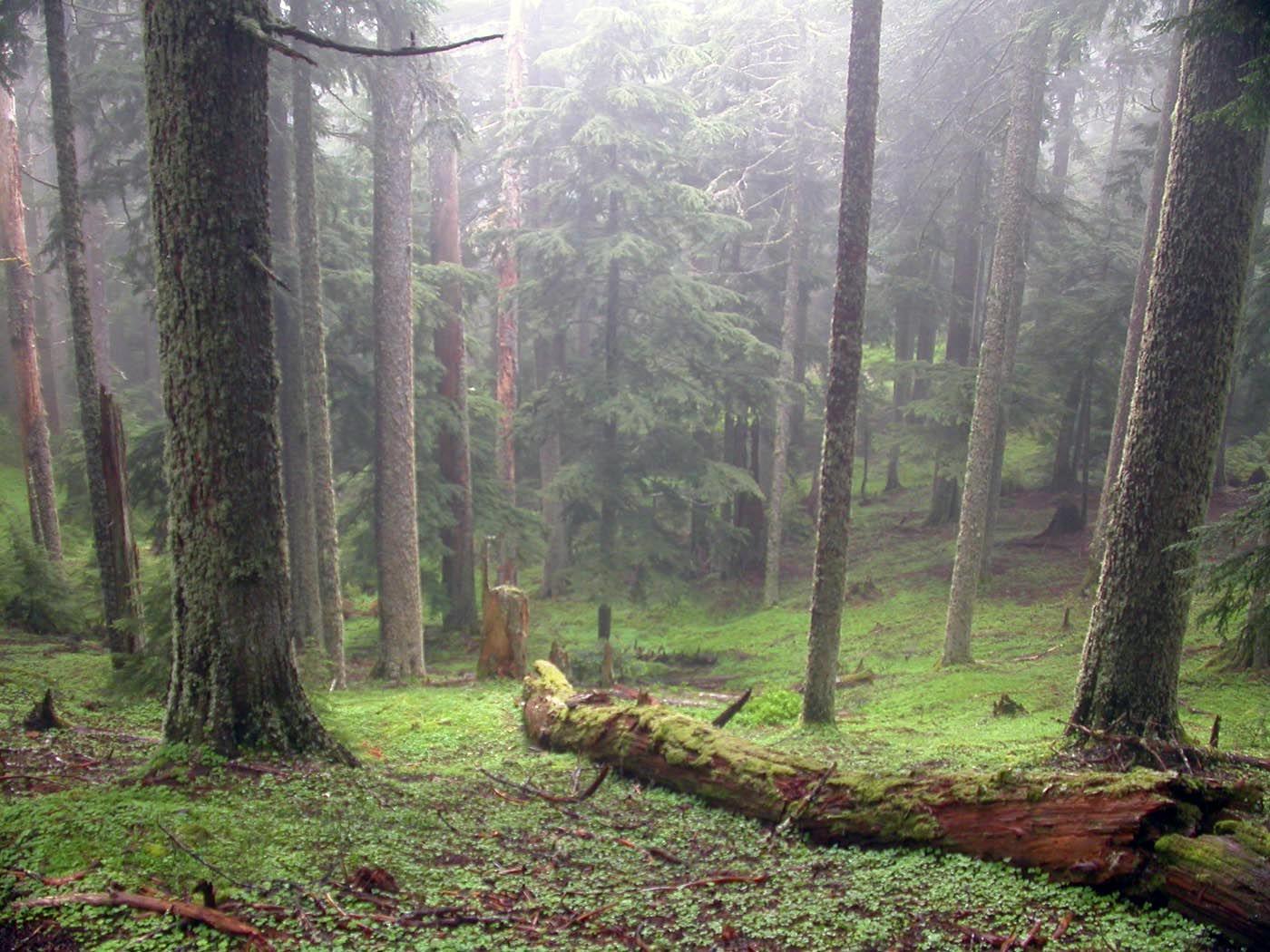 1400x1050 Pacific Northwest Interagency Natural Areas Network