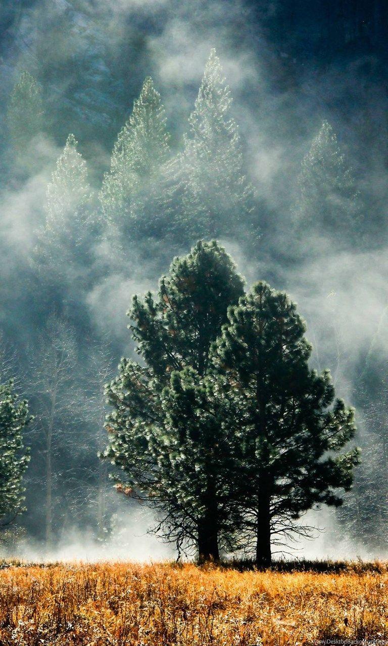 Pacific Northwest iPhone Wallpapers - Top Free Pacific Northwest iPhone