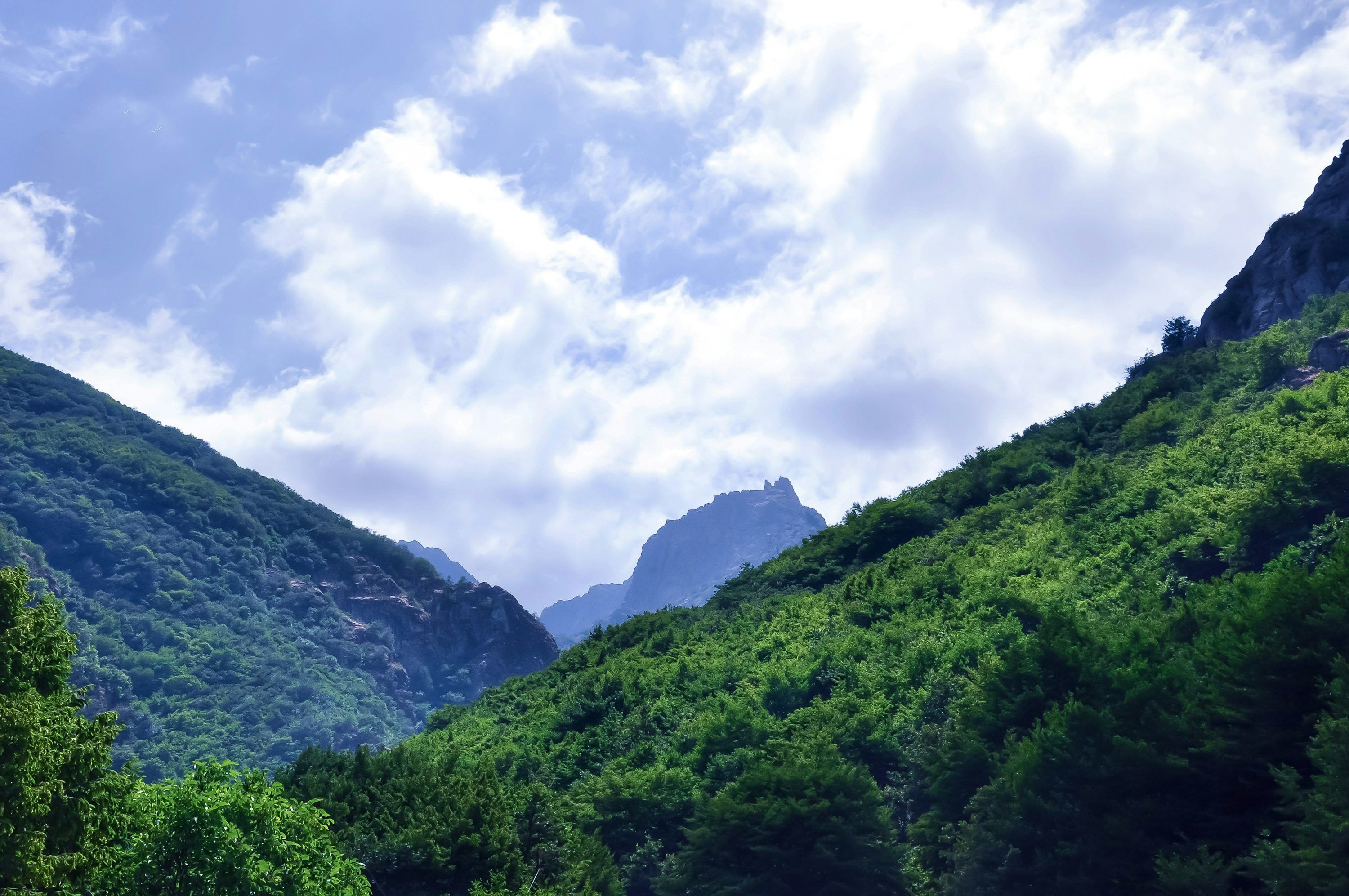 3000x1993 Gilan Province Picture. Download Free