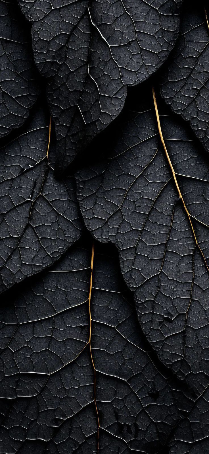 736x1595 Black mobile phone wallpaper