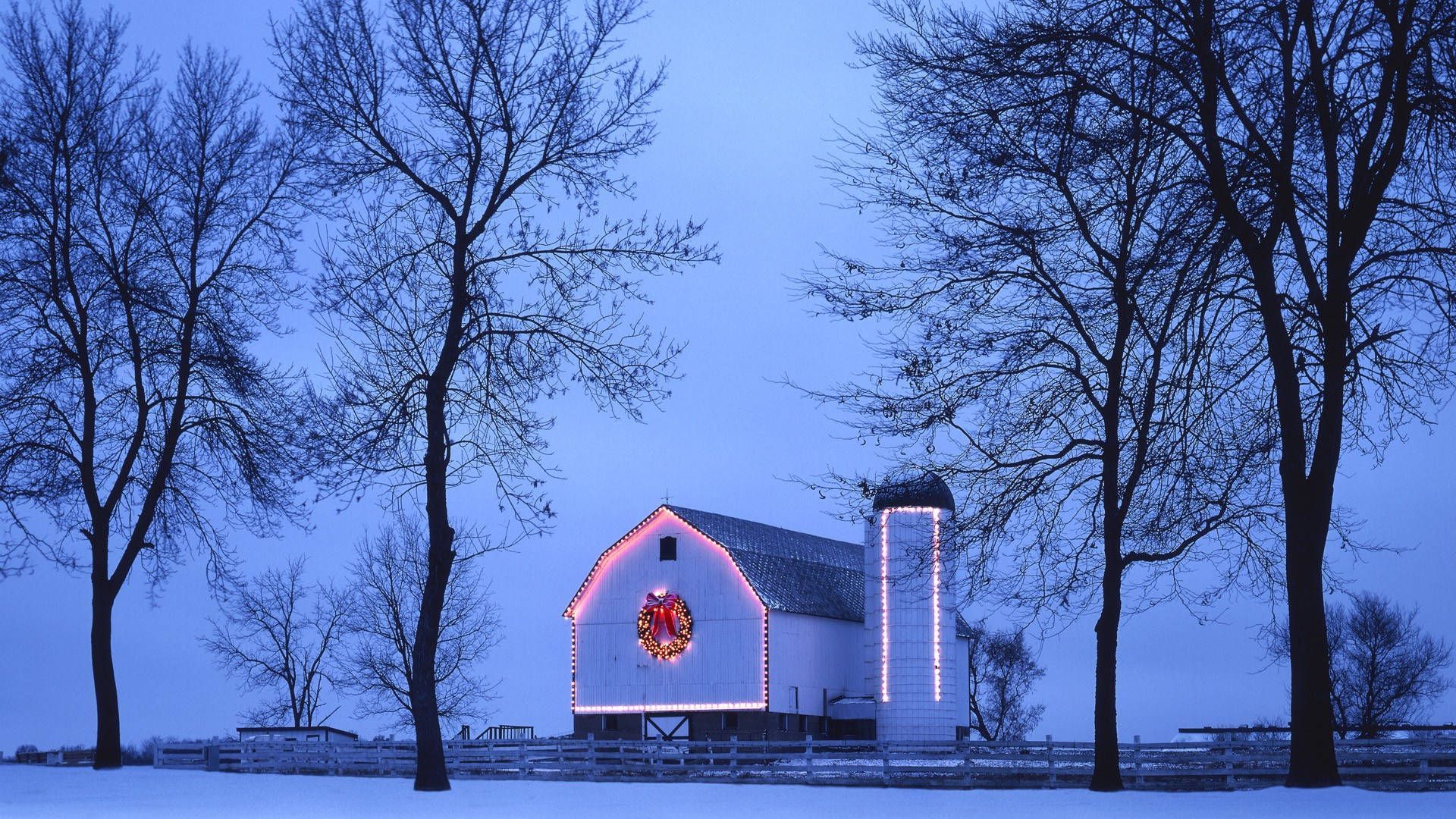1920x1080 Christmas Tree In The Snow Wallpaper