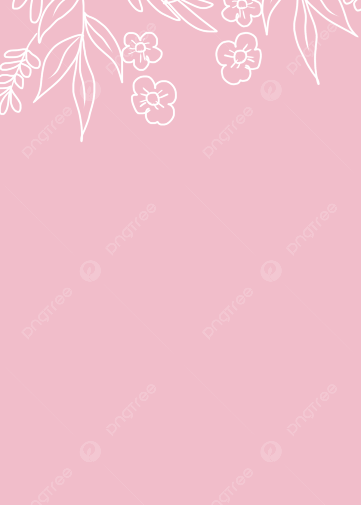 1200x1680 Pink Clean Solid Color Background