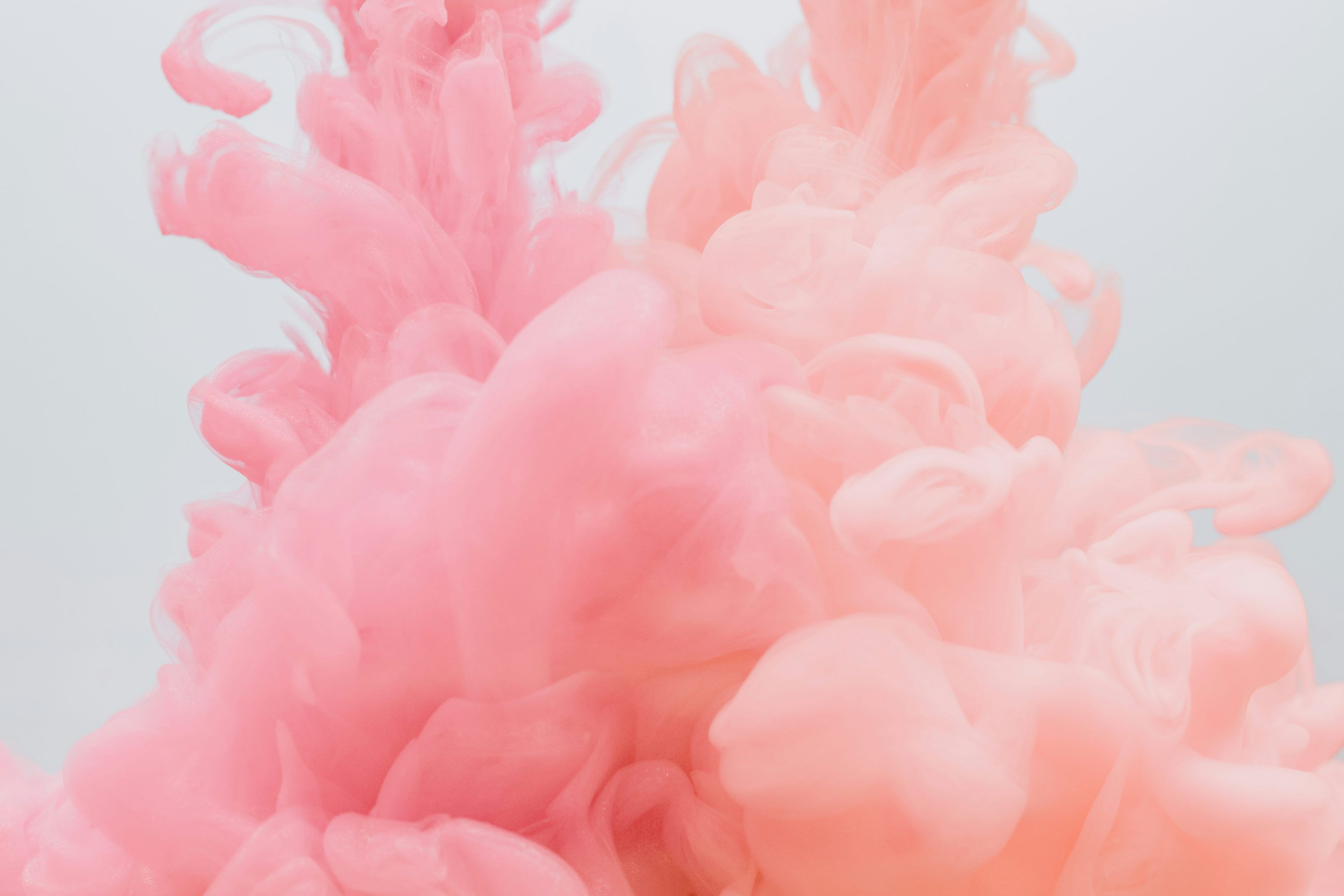 3000x2000 Pink Wallpaper: Free HD Download