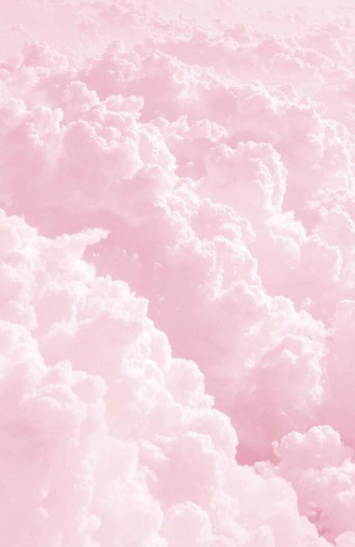 1248x1920 Pink Aesthetic HD Wallpaper 1600++