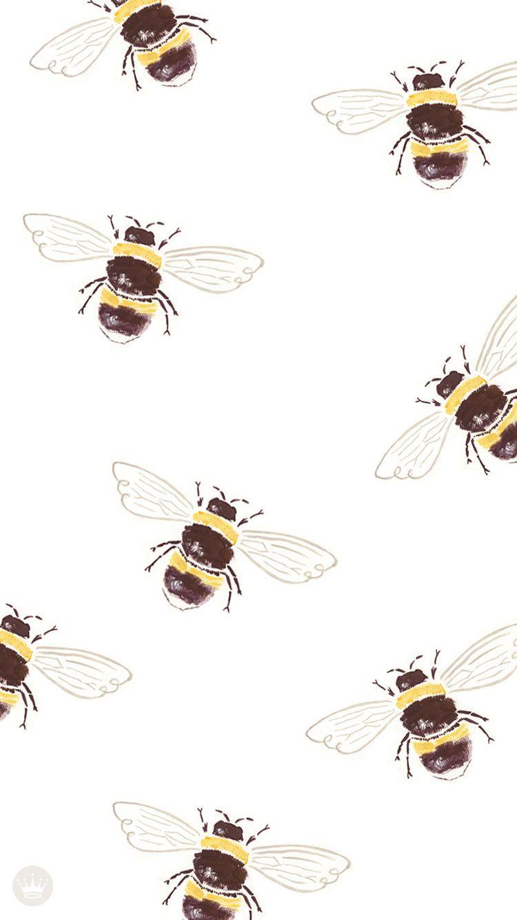 Cute Bee Iphone Wallpapers Top Free Cute Bee Iphone Backgrounds Wallpaperaccess