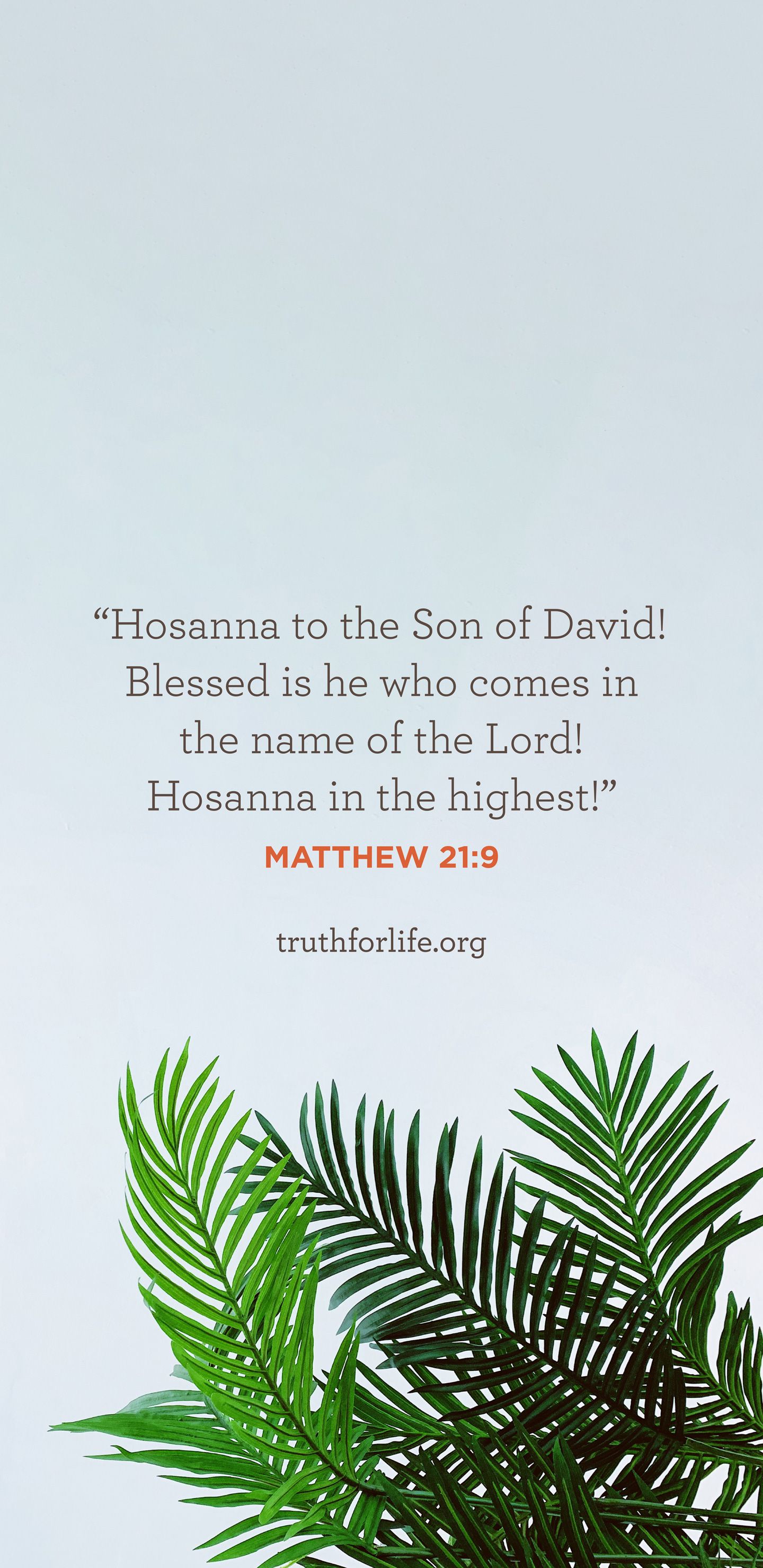 Hosanna Wallpapers - Top Free Hosanna Backgrounds - WallpaperAccess