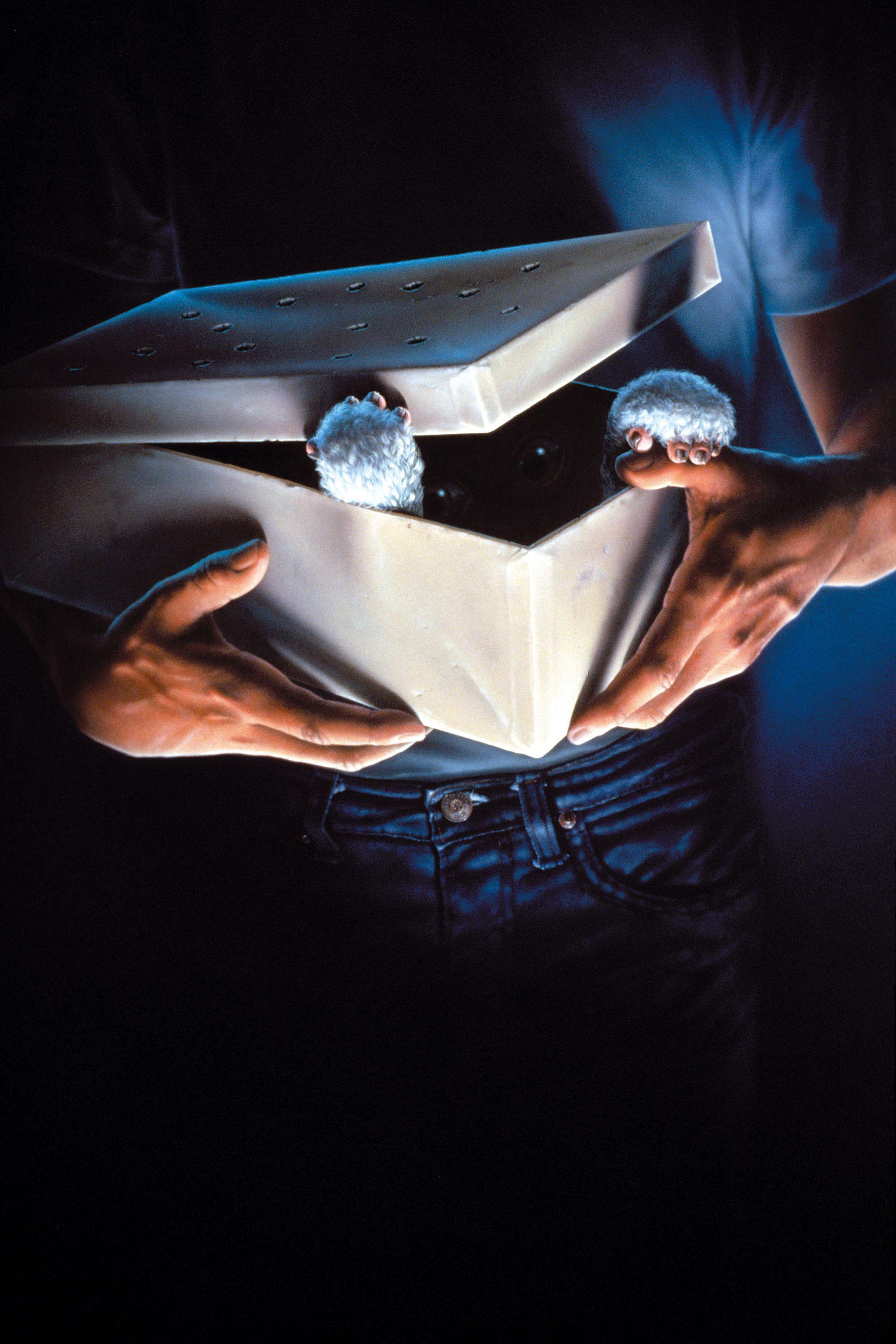 2000x3000 Horror Movies Wallpaper iPhone