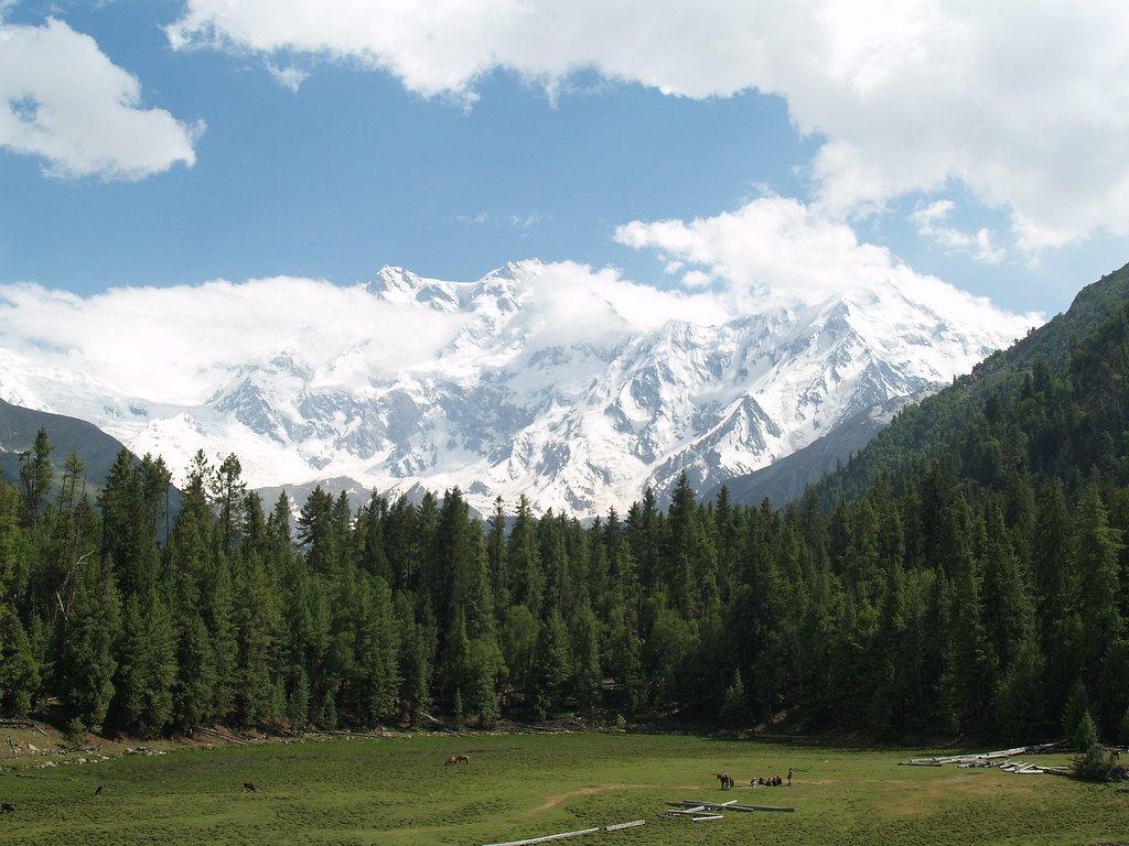 1024x768 Another view of Nanga Parbat from Fairy Meadows. Nanga Parb