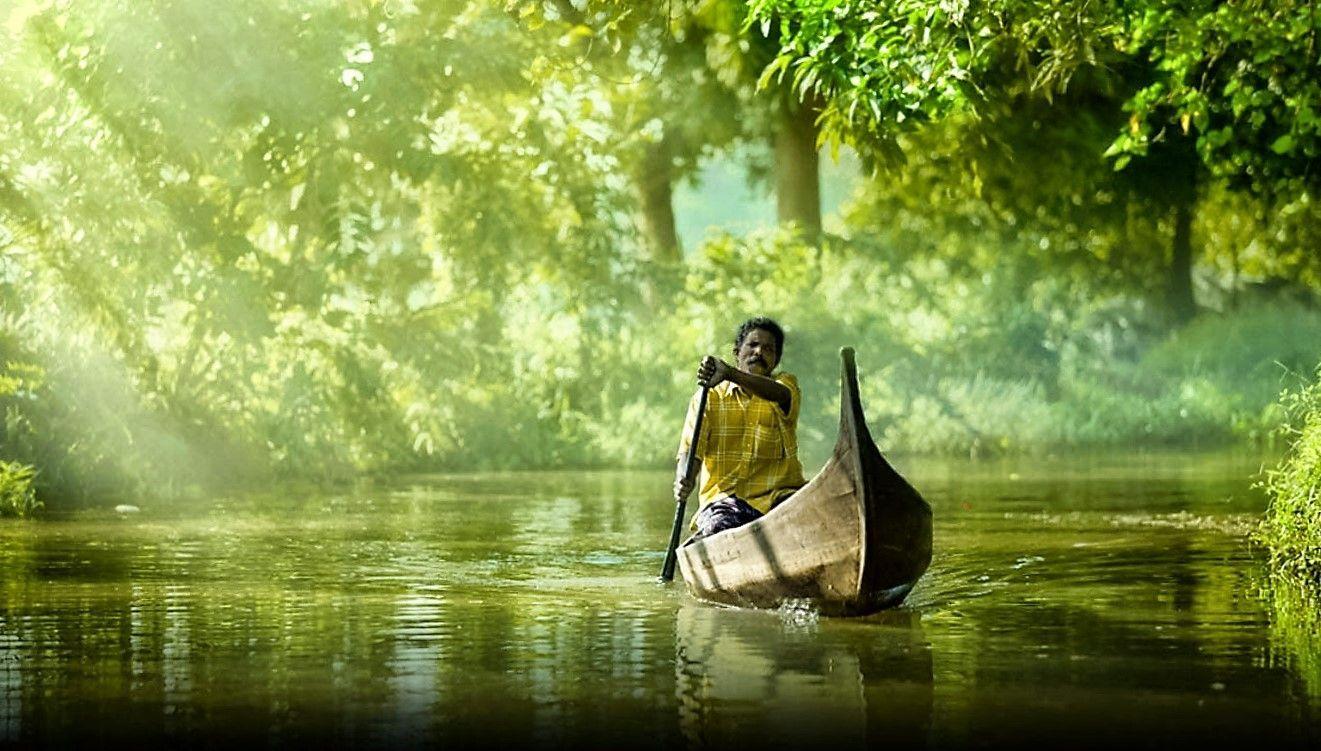 Kerala Stock Photo  Download Image Now  2015 Asia Backwater  iStock