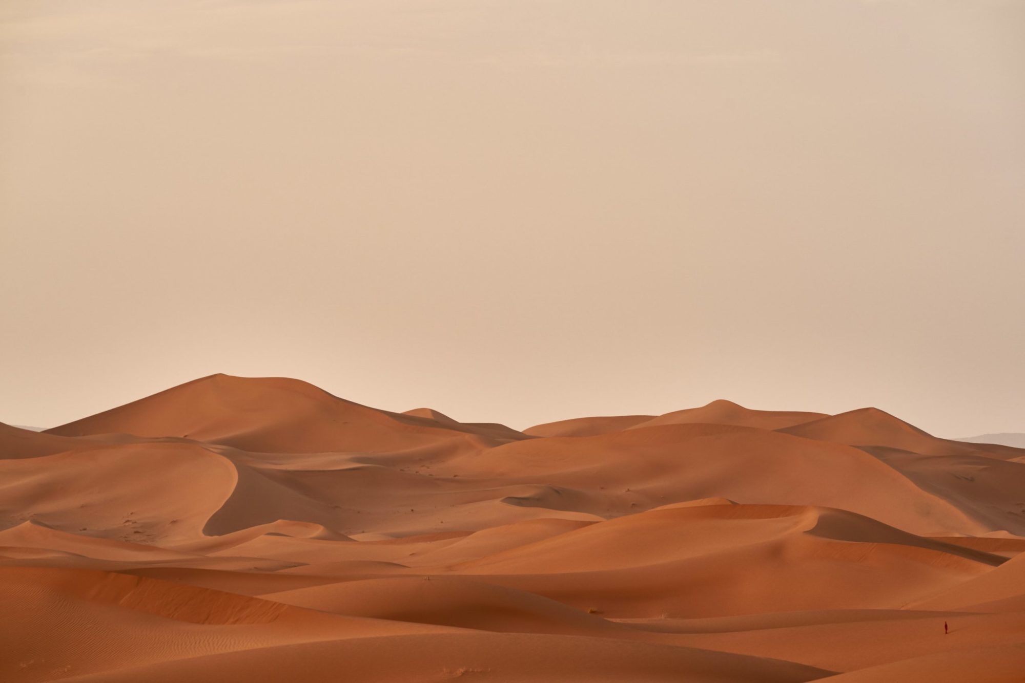 2000x1334 Erasing Arabs from “Dune”