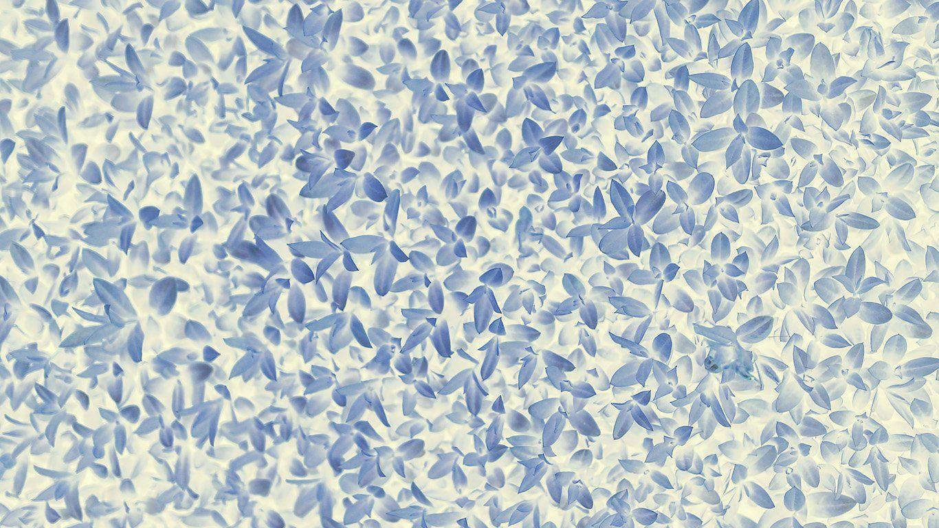 1366x768 wallpaper for desktop, laptop. nature blue white leaf