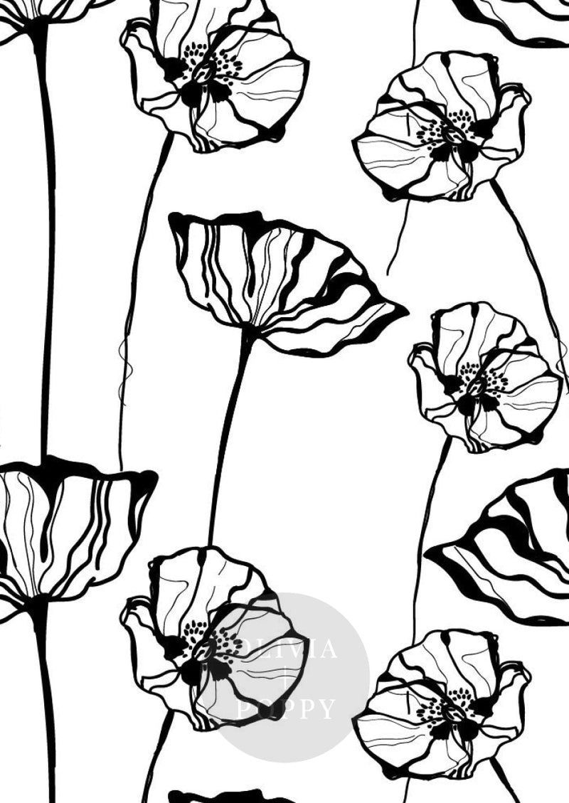 800x1129 Poppy Sketch Wallpaper