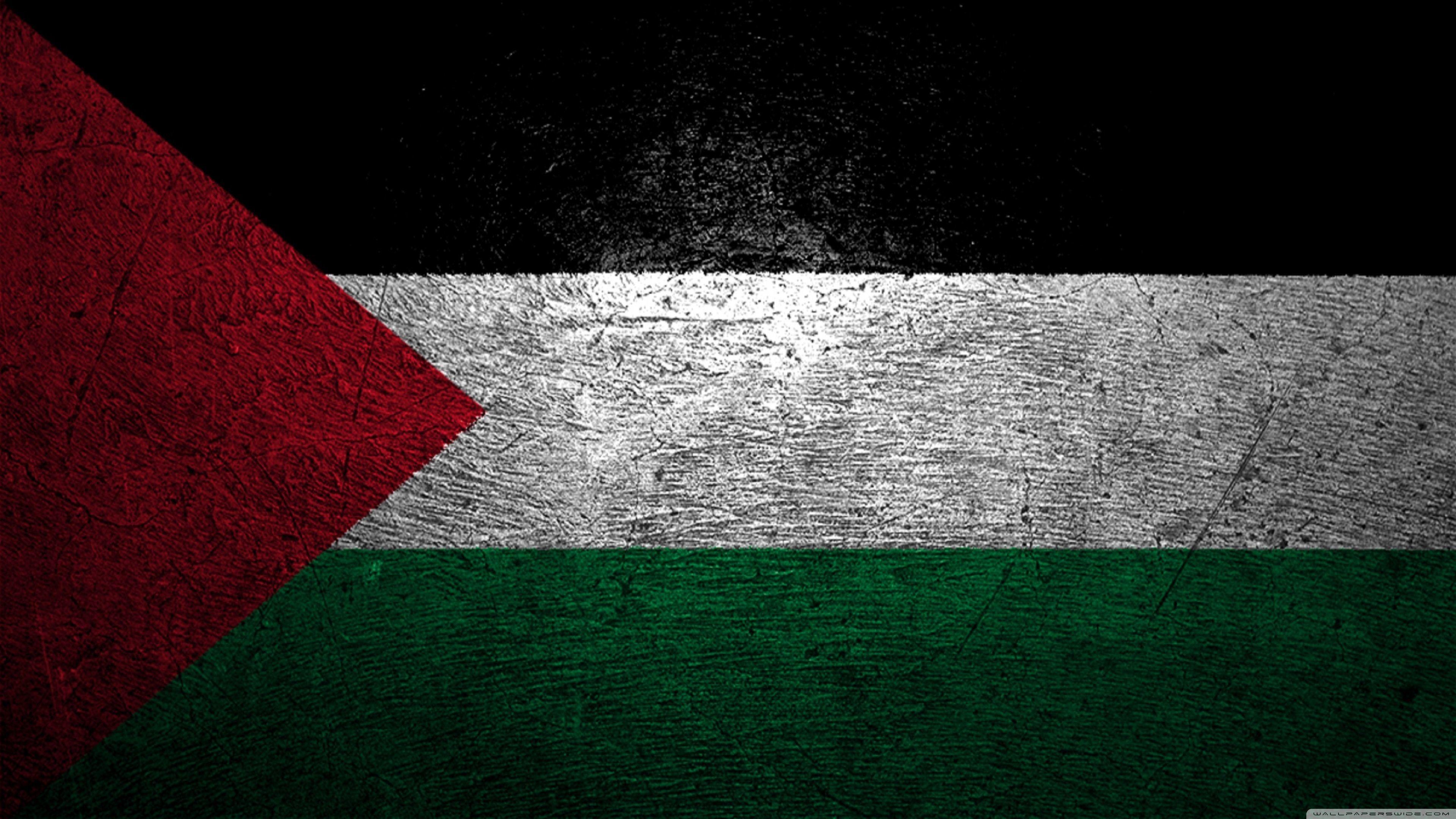 Palestine Flag Wallpapers Top Free Palestine Flag Backgrounds 
