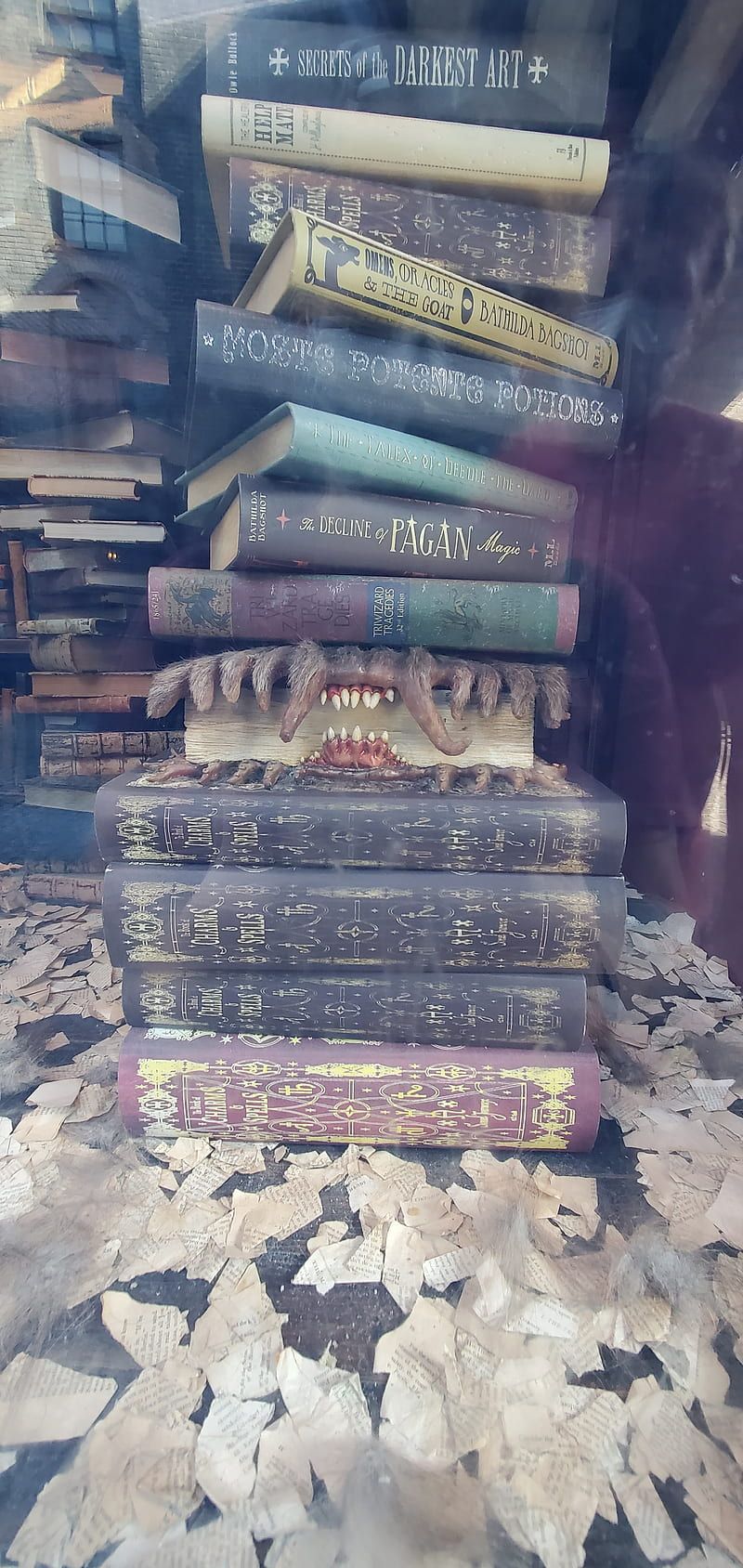800x1688 Universal studios, books, hagrid, harry
