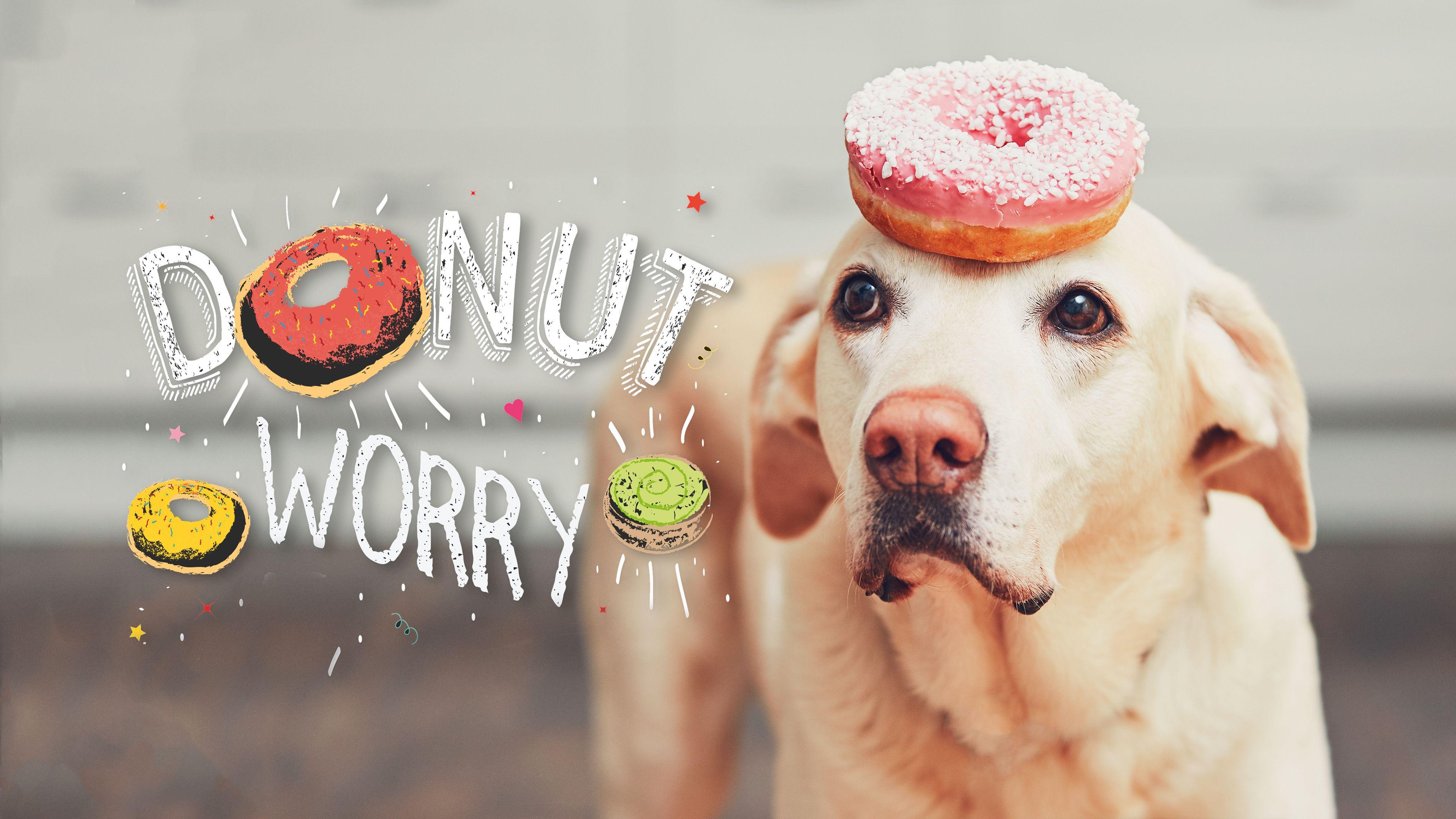3840x2160 4K Donut Worry Wallpaper HD