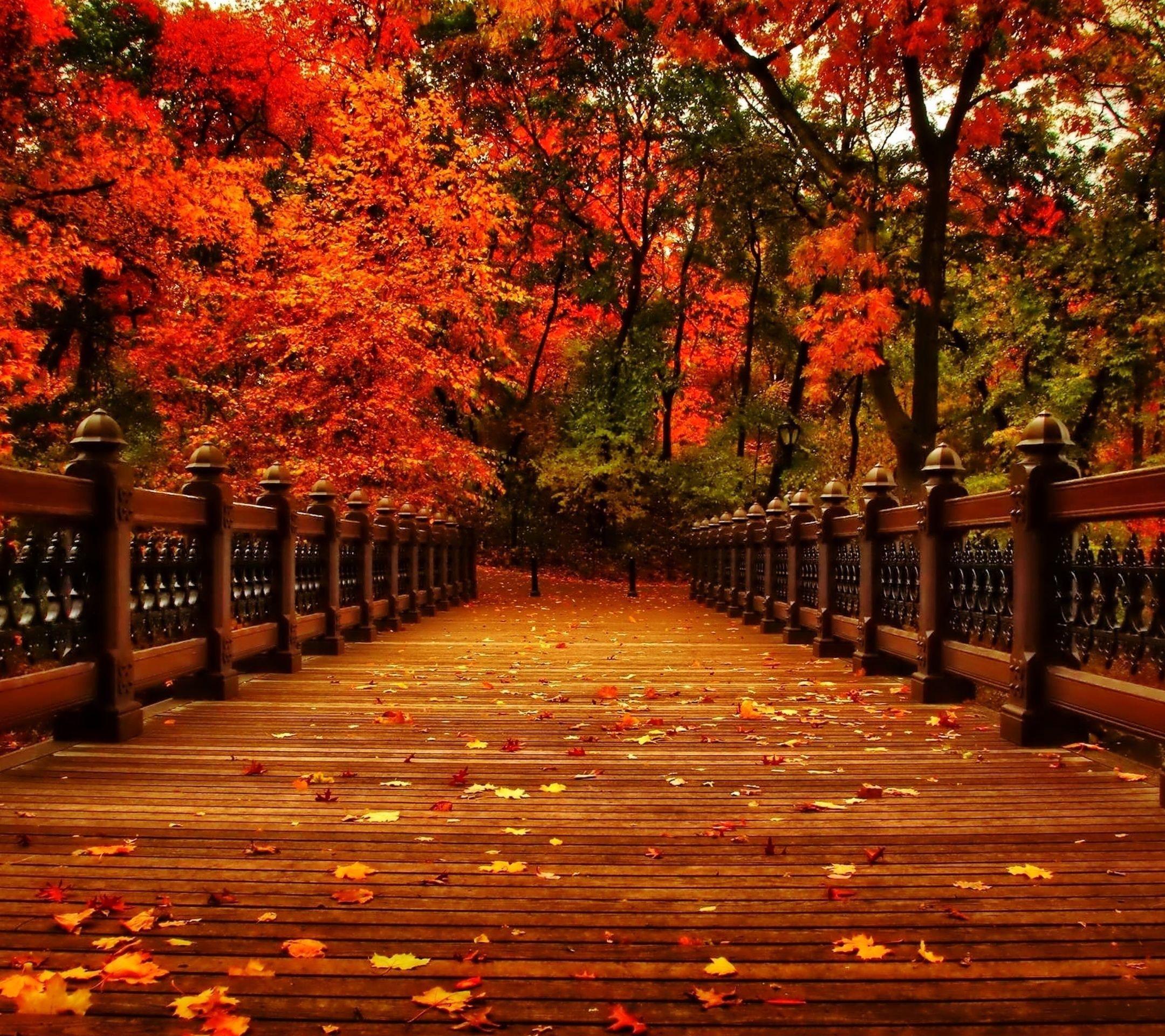 Cute Aesthetic Fall Backgrounds