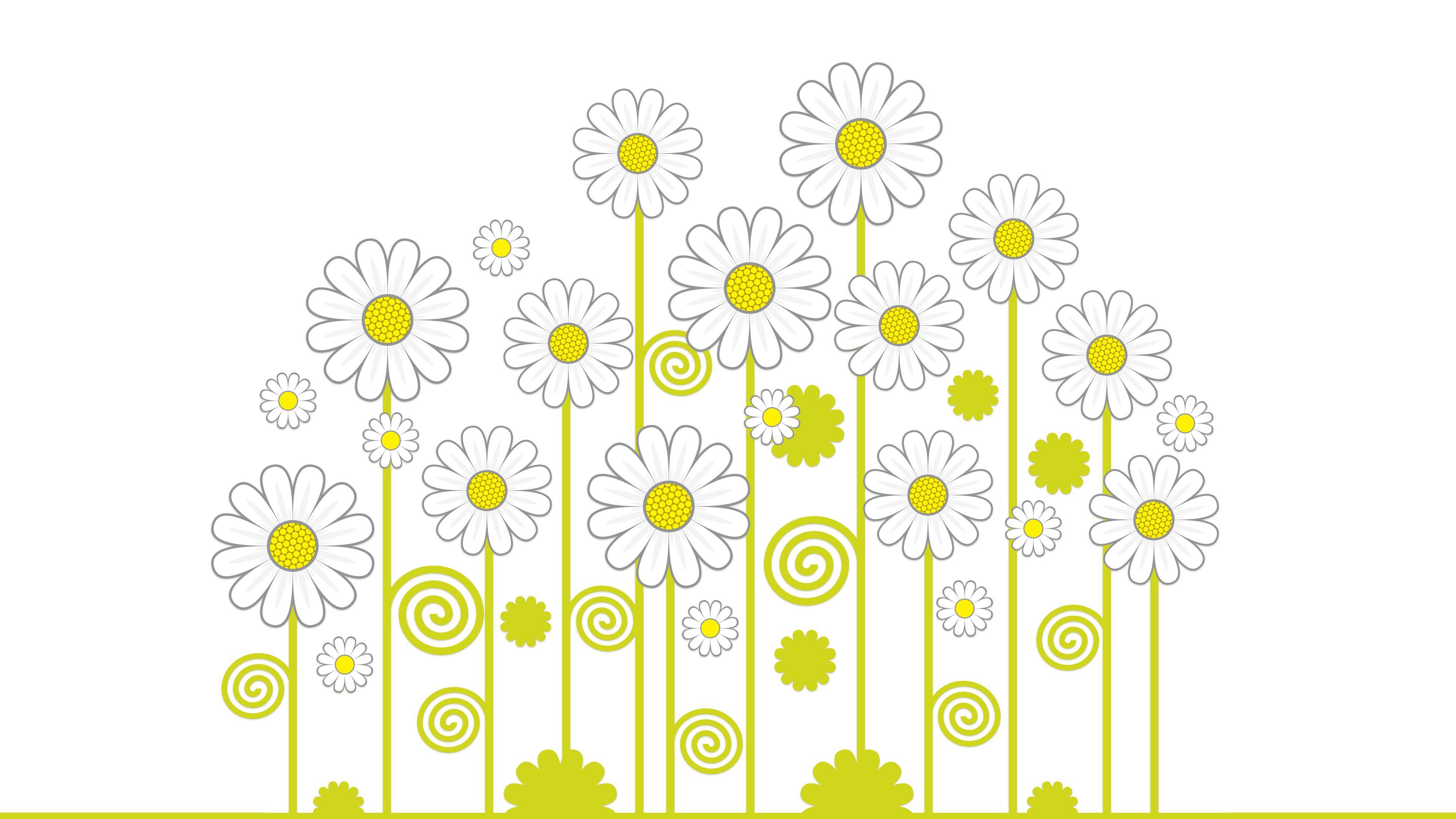 3840x2160 Daisies Chromebook Wallpaper