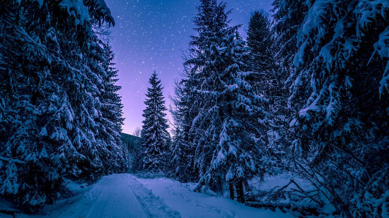 1366 X 768 Winter Wallpapers Top Free 1366 X 768 Winter Backgrounds Wallpaperaccess
