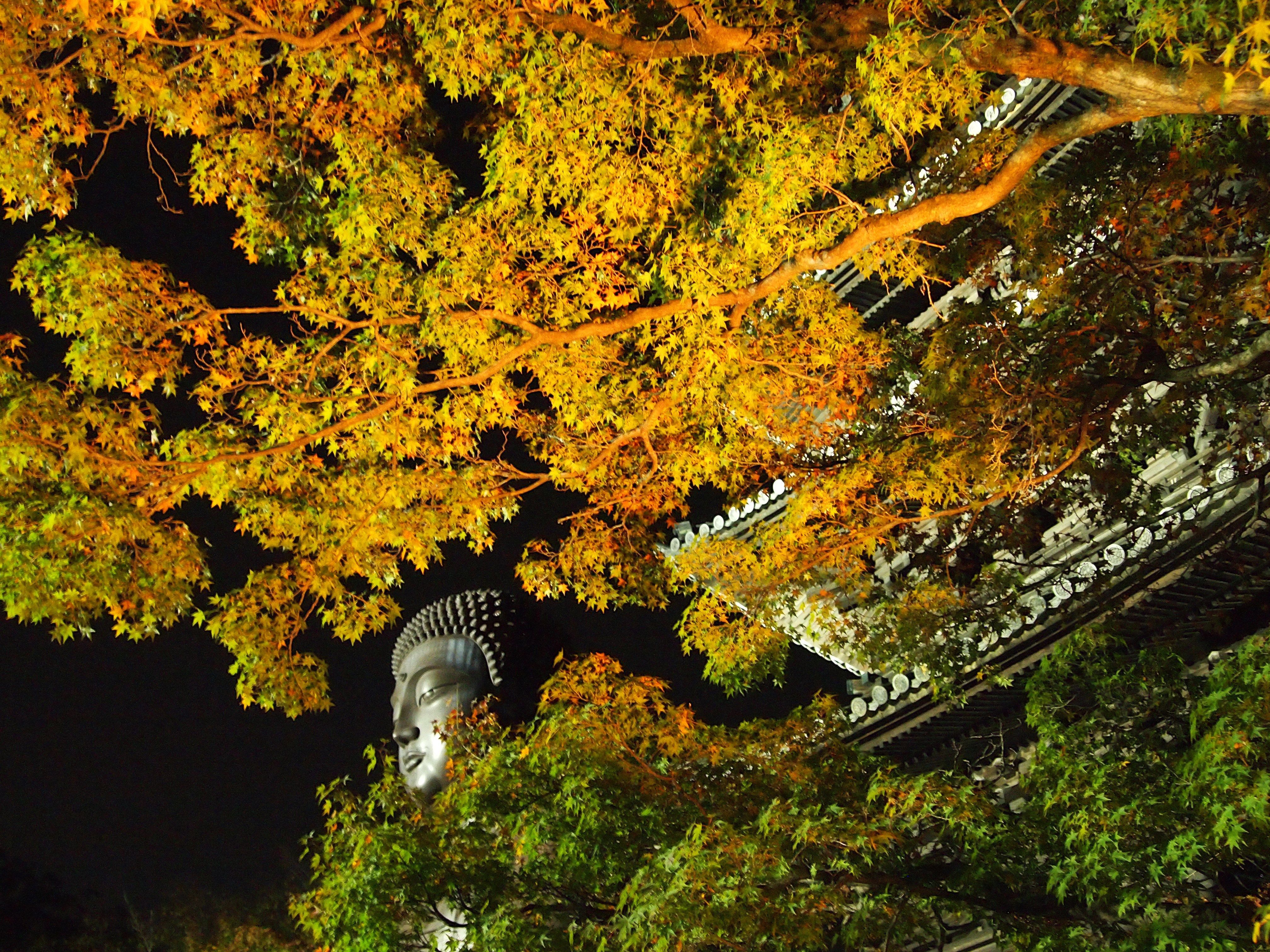 4032x3024 Download Night Fall Nagoya Japan