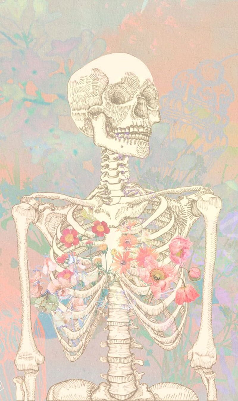 800x1343 Anatomy Art. Biology art, Art, Anatomy