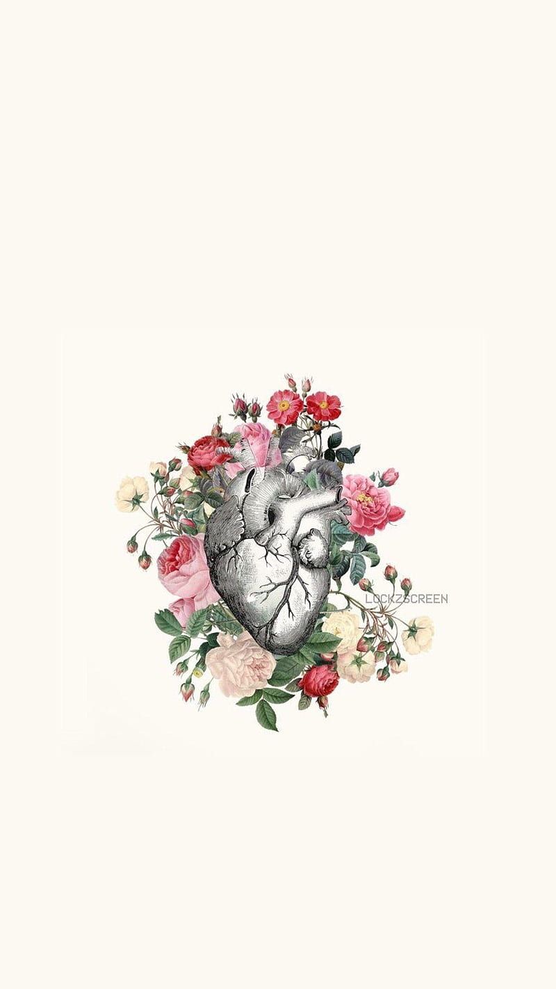 800x1422 Anatomy Phone, Anatomical, HD phone